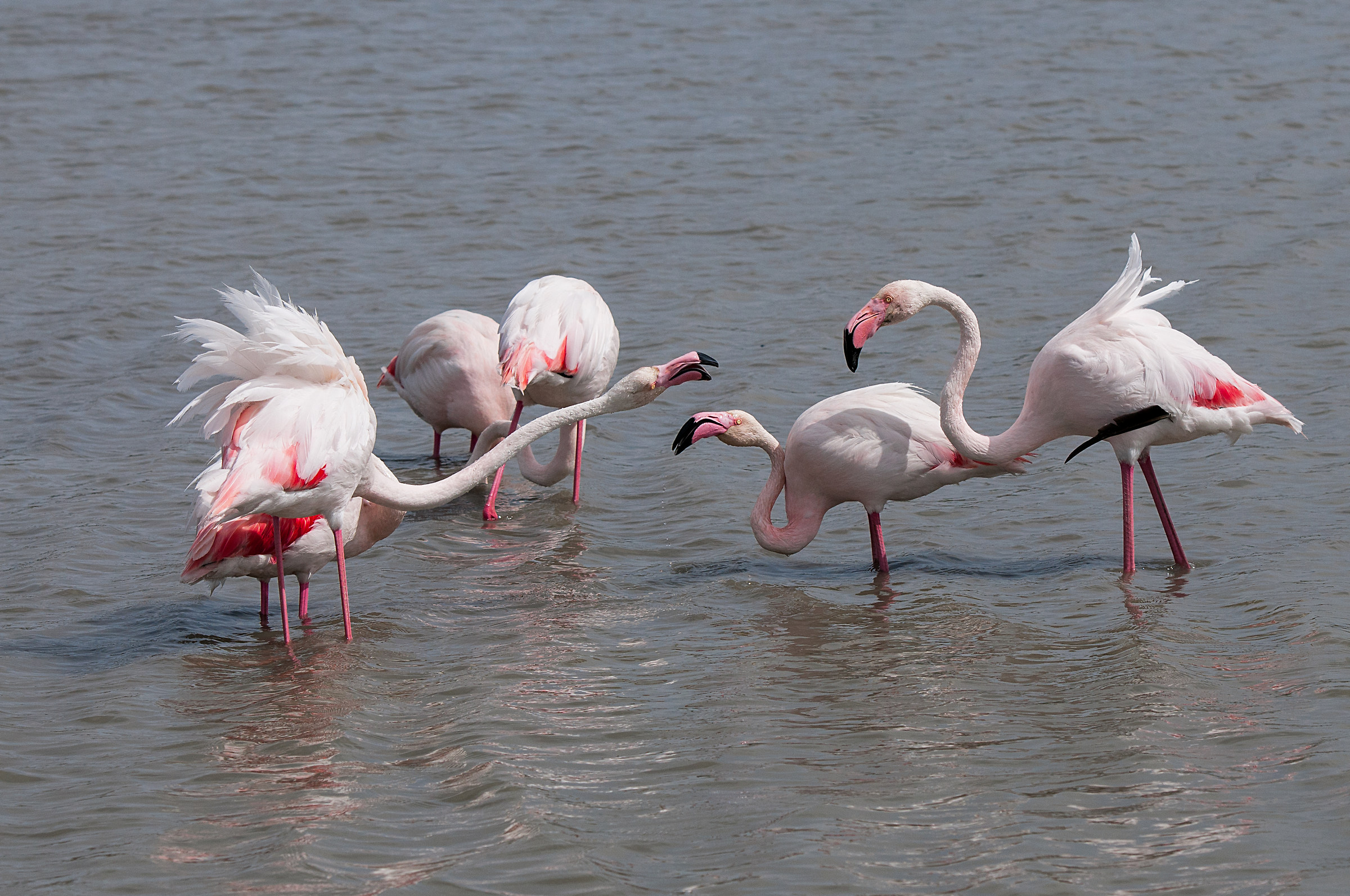 You have something to say ????