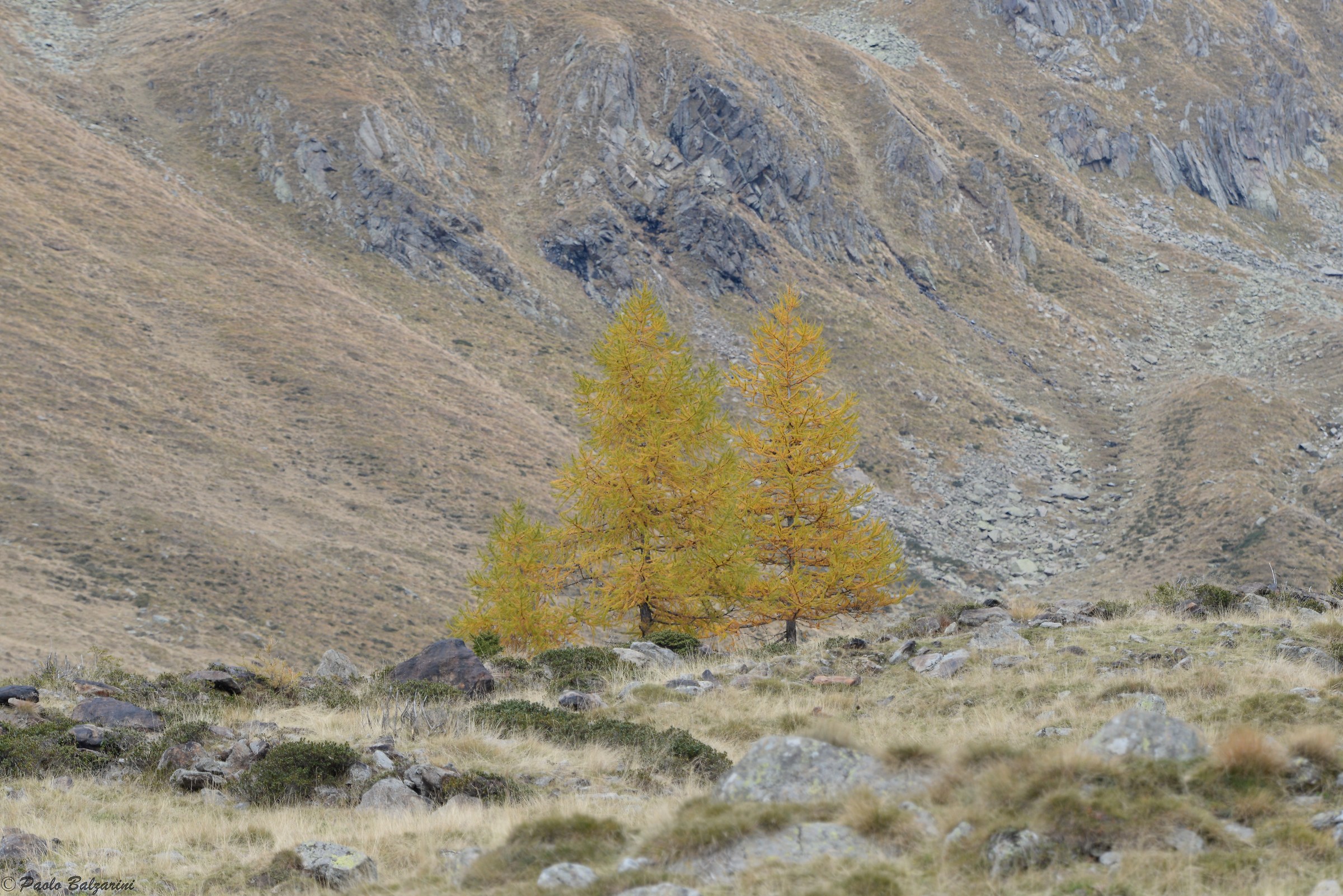 Val Grande autumn landscape