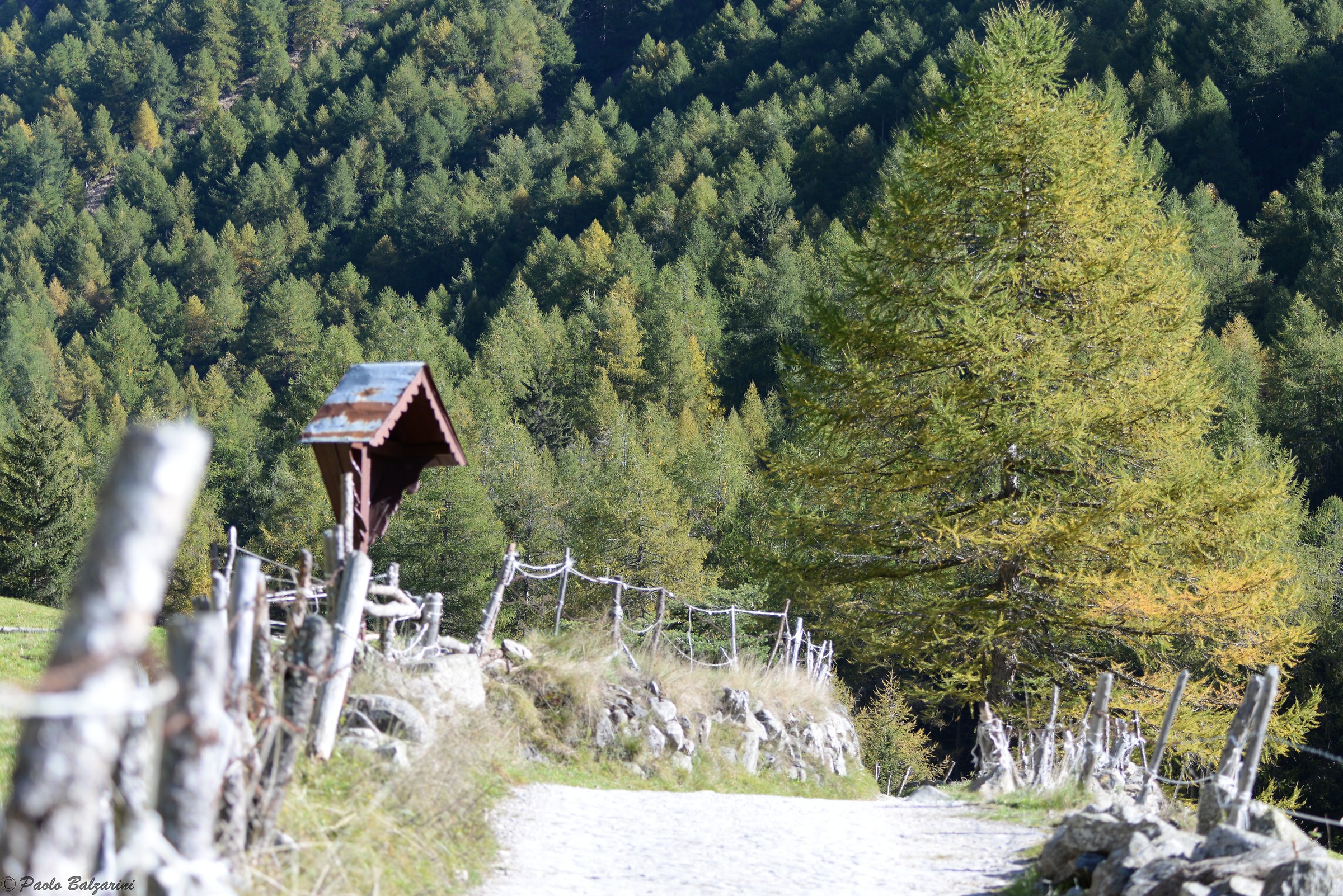 Val Grande autumn landscape