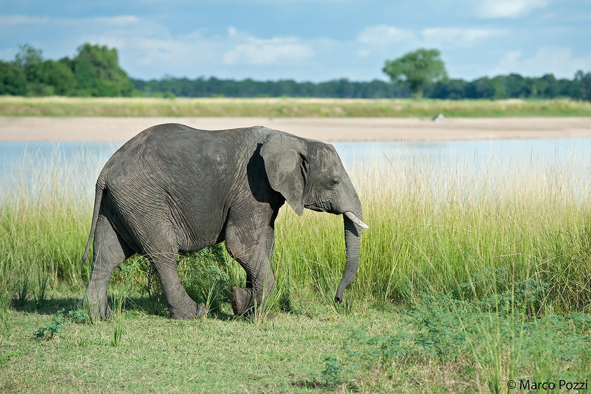 walk along the river