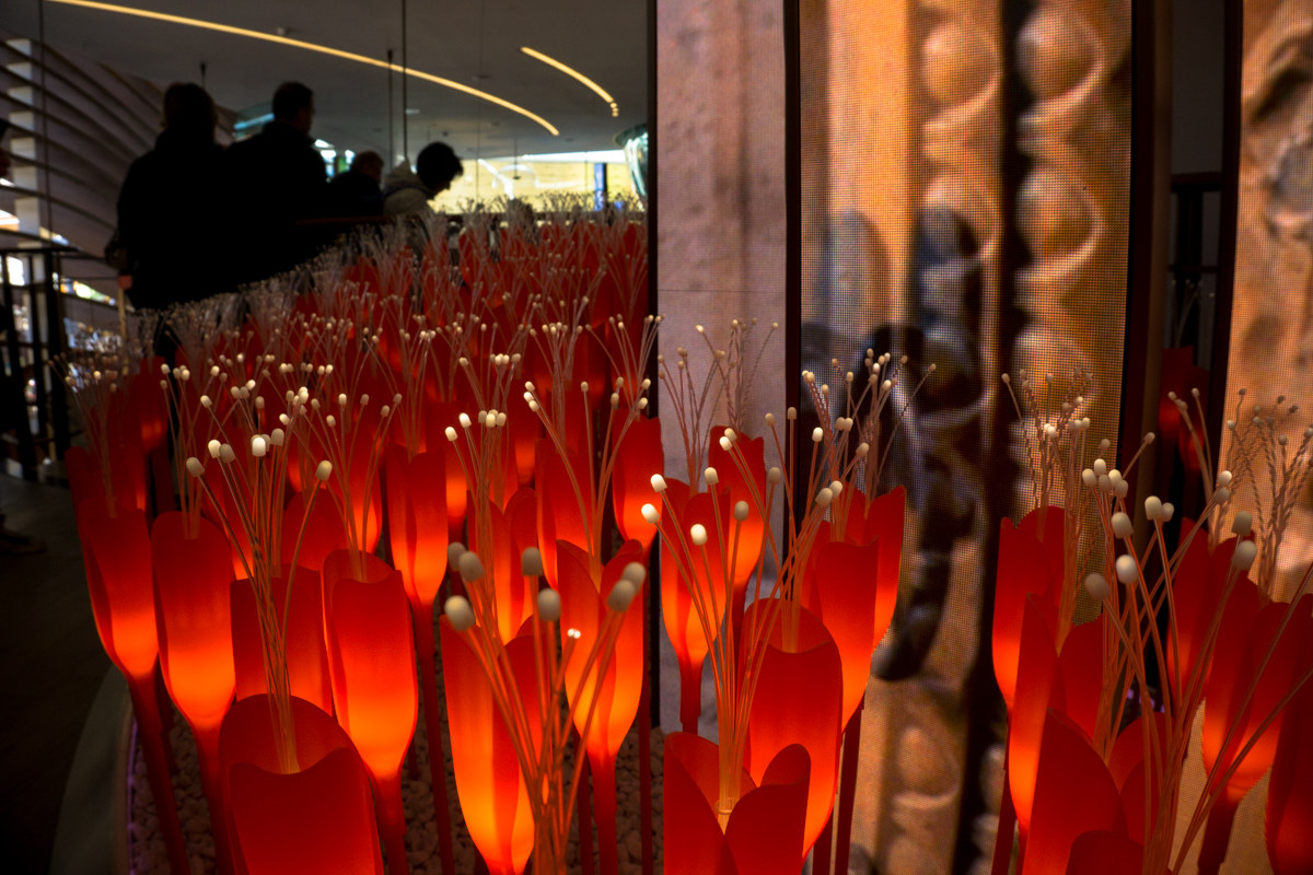 Expo-Poppies Azerbaijan