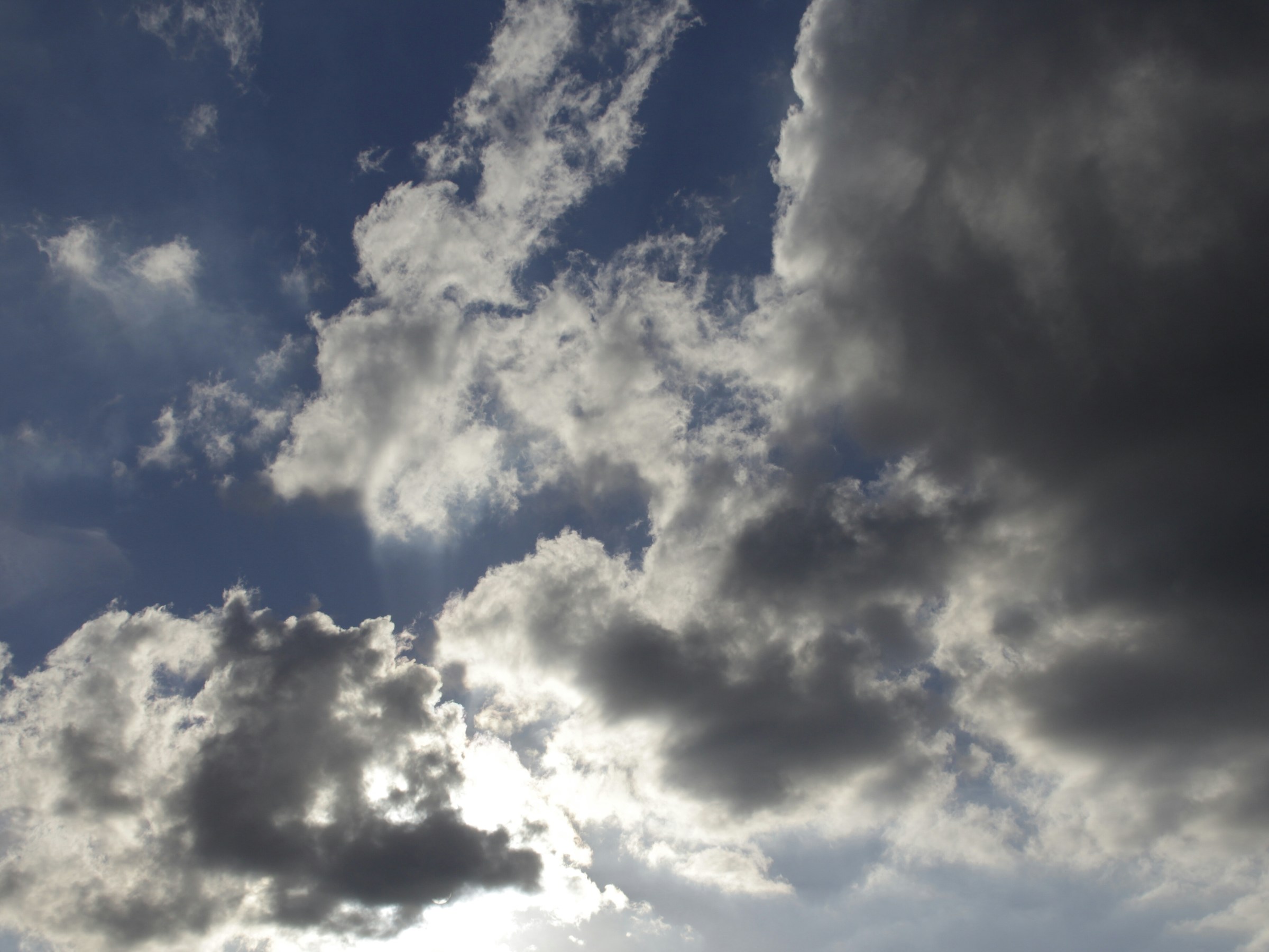 A little bit of heaven