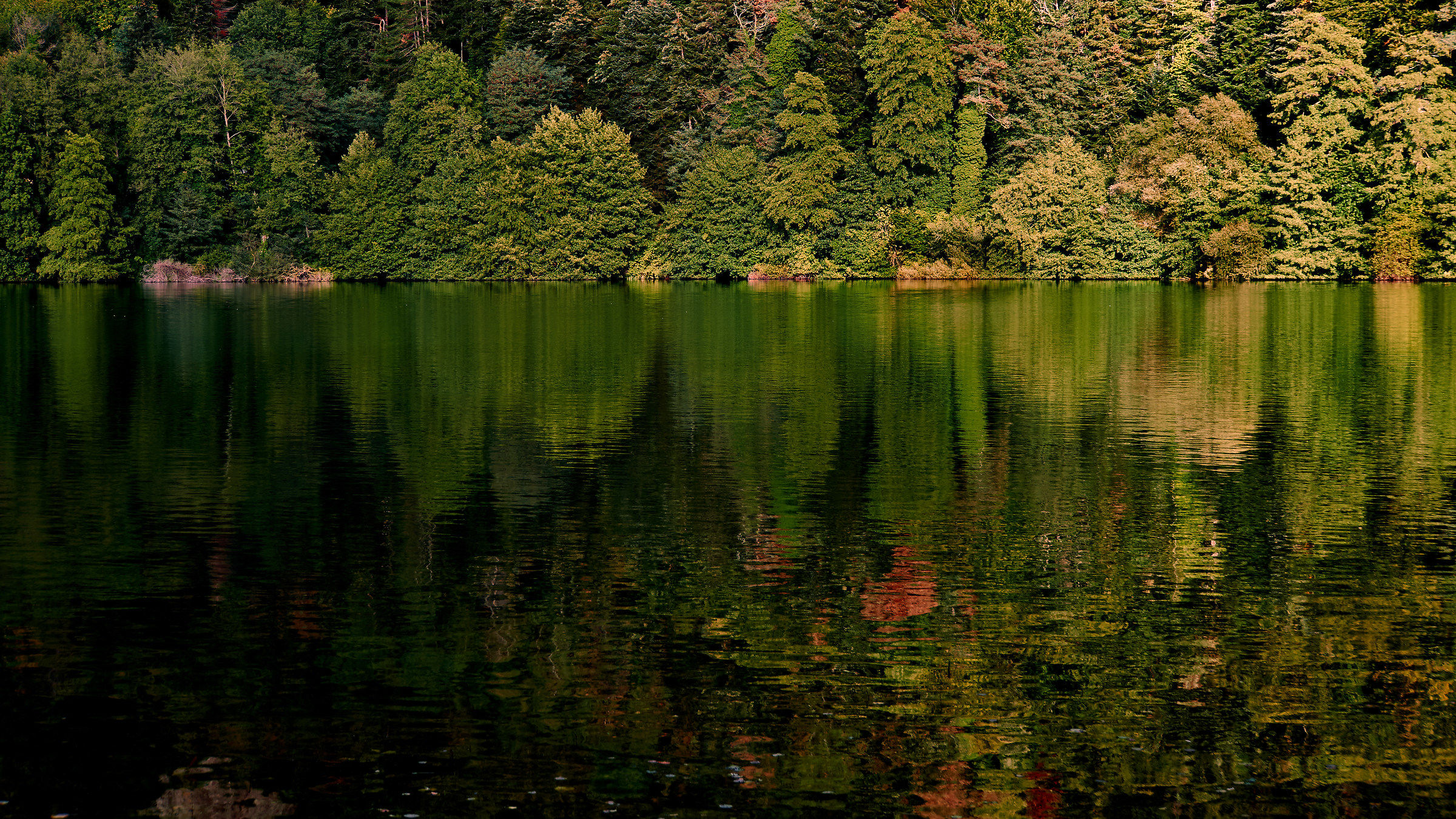 Reflections ... promise of autumn