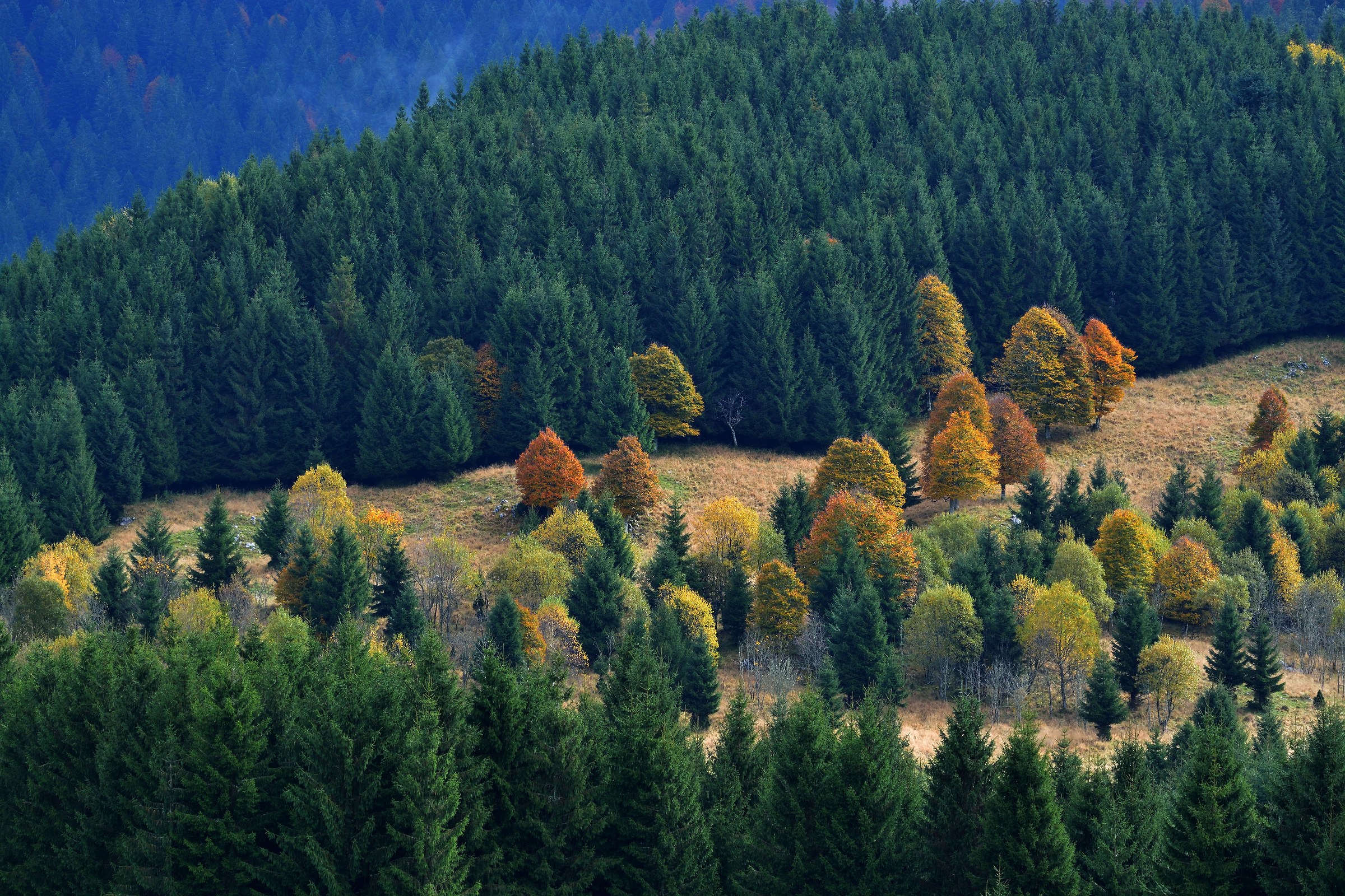 I colori della natura