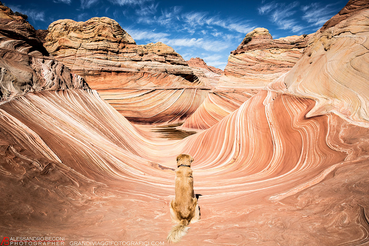 Waiting for the wave