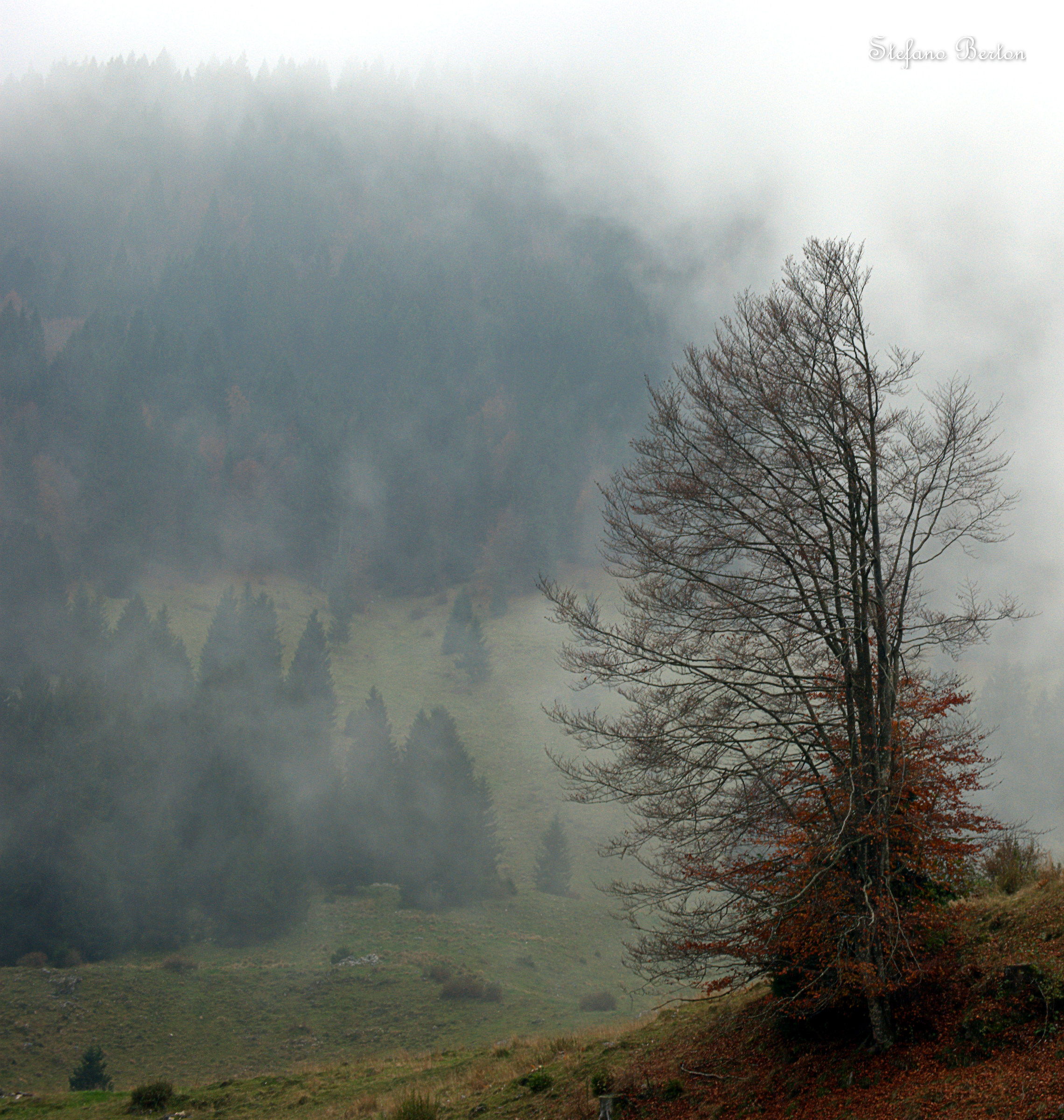 Autumn in the Plateau