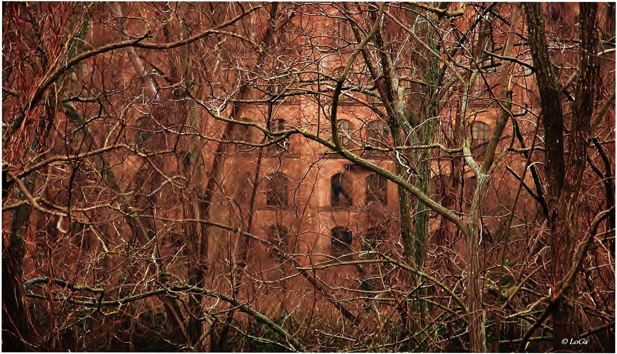 la fornace disabitata