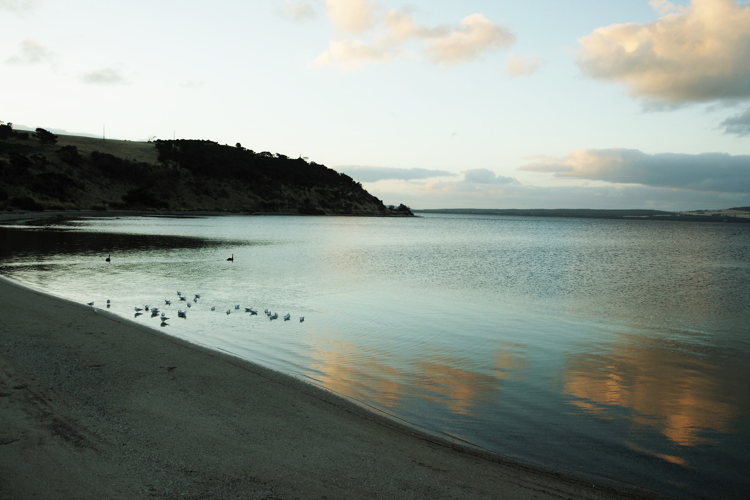 Kangaroo Island - Australia