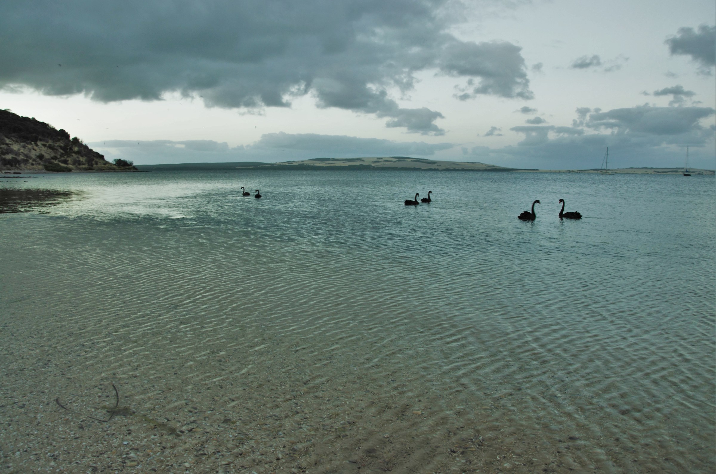 Kangaroo Island - Australia