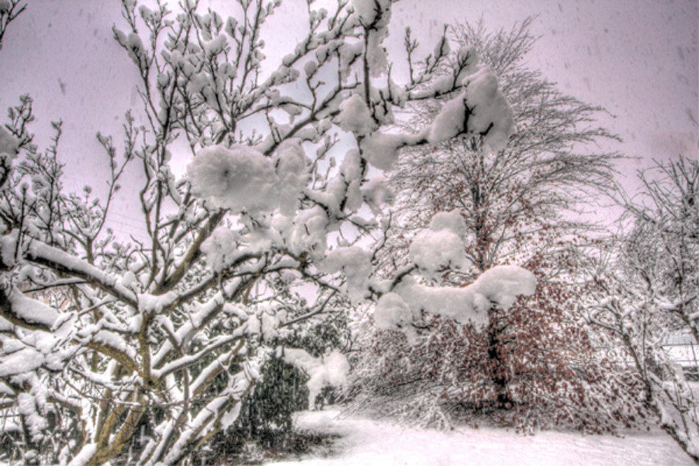 Snow 10 February 2014