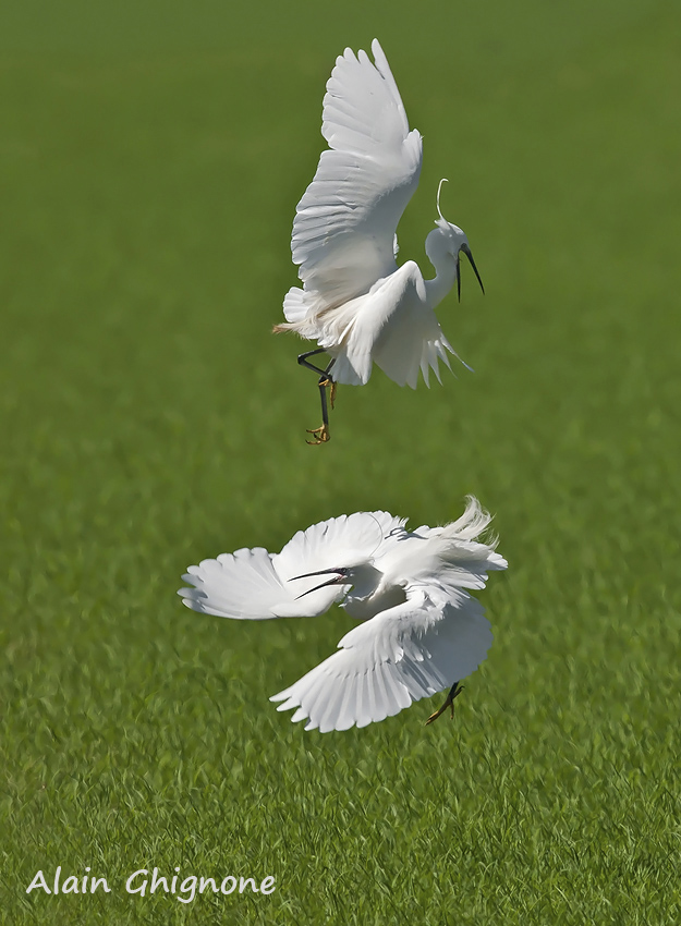 everyboby was kung-fu fighting