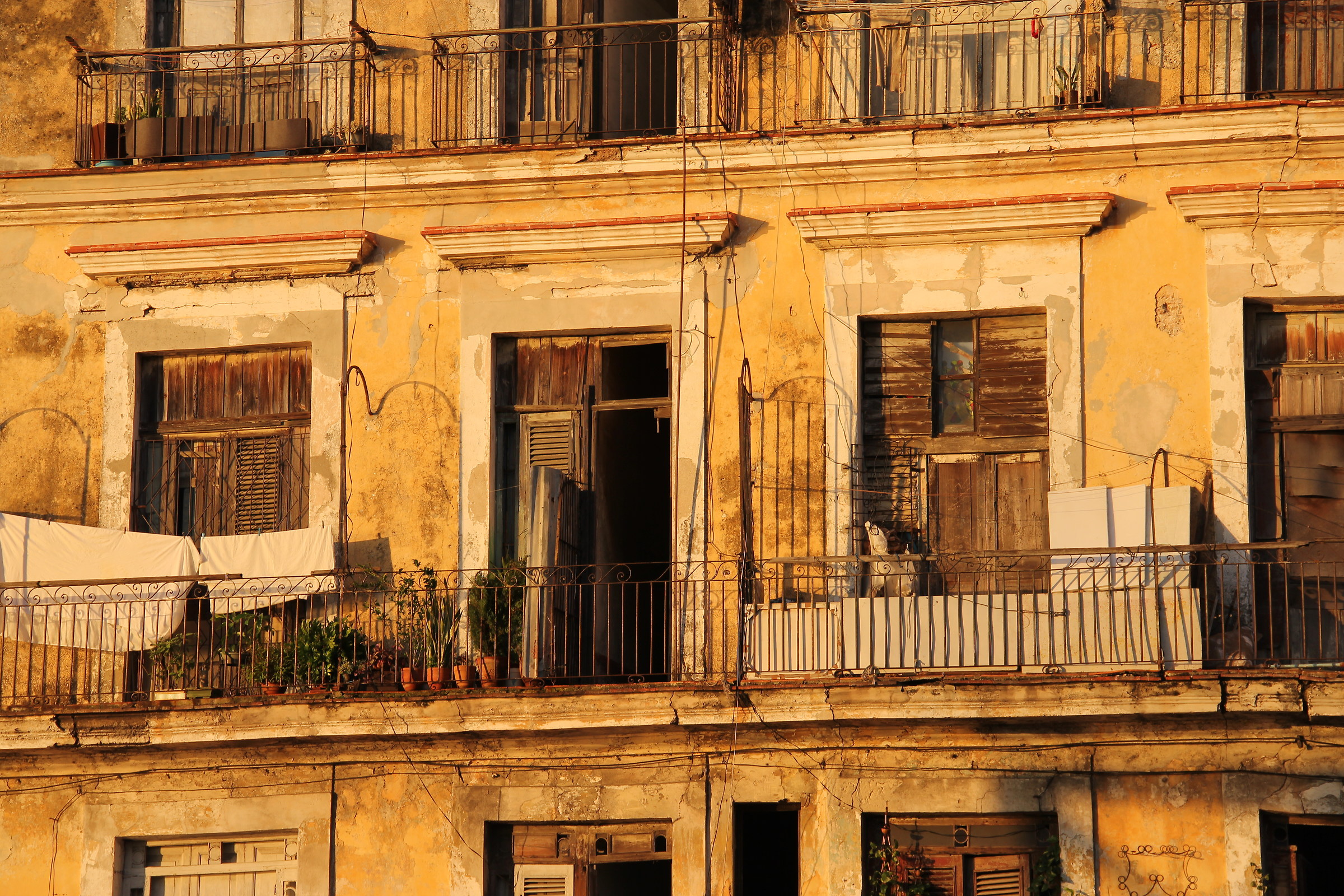 En la Habana todo sabe a ron