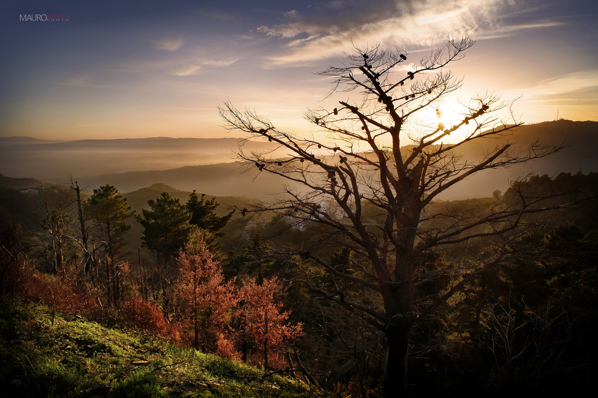 Utòpia - La Valle Incantata -