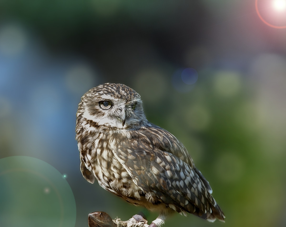 In posa ... Sotto i riflettori