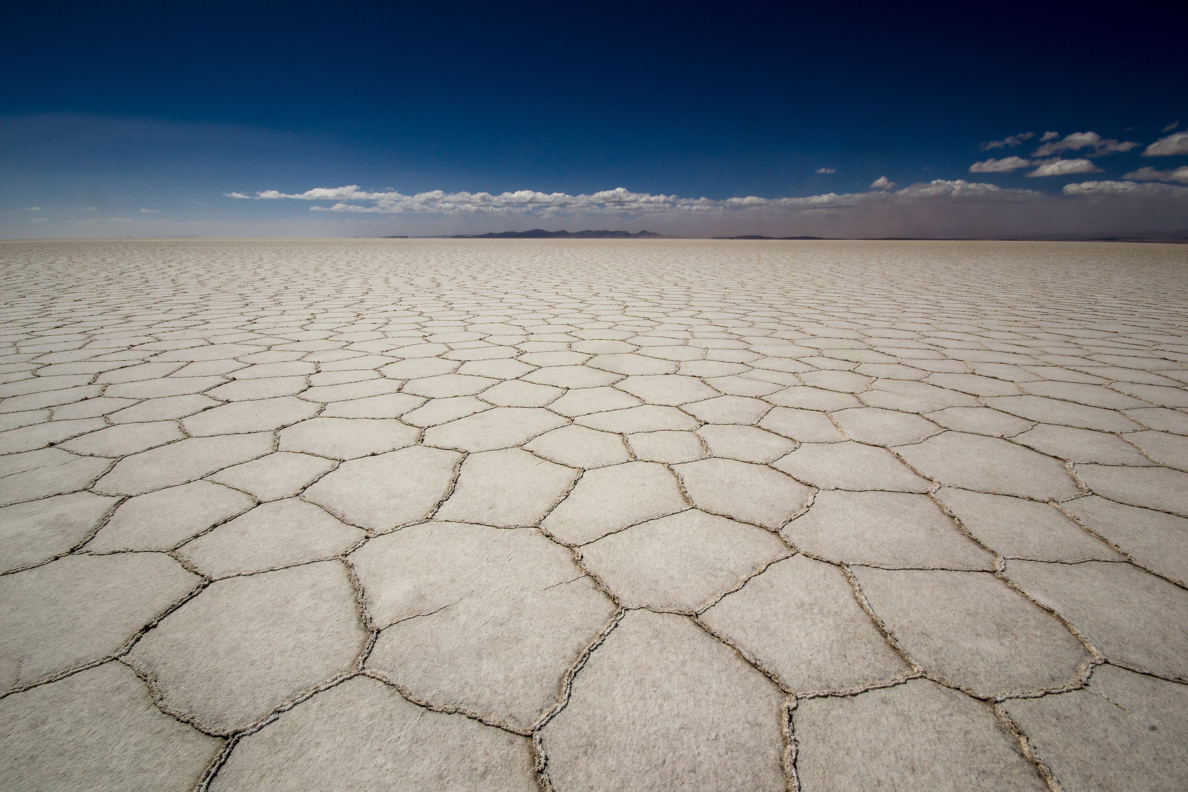 The rooms on the ground!