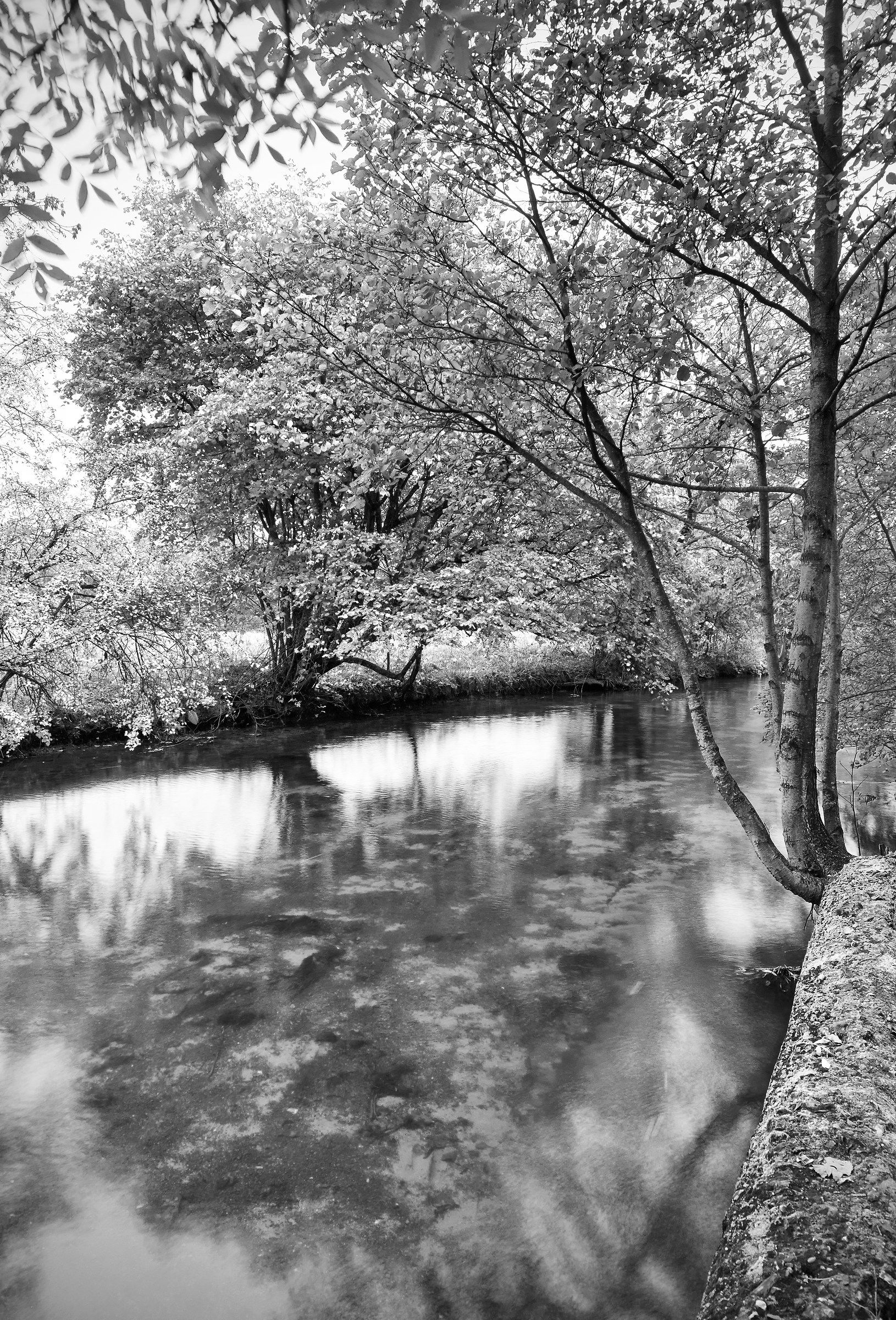 Soft Light at Amesbury