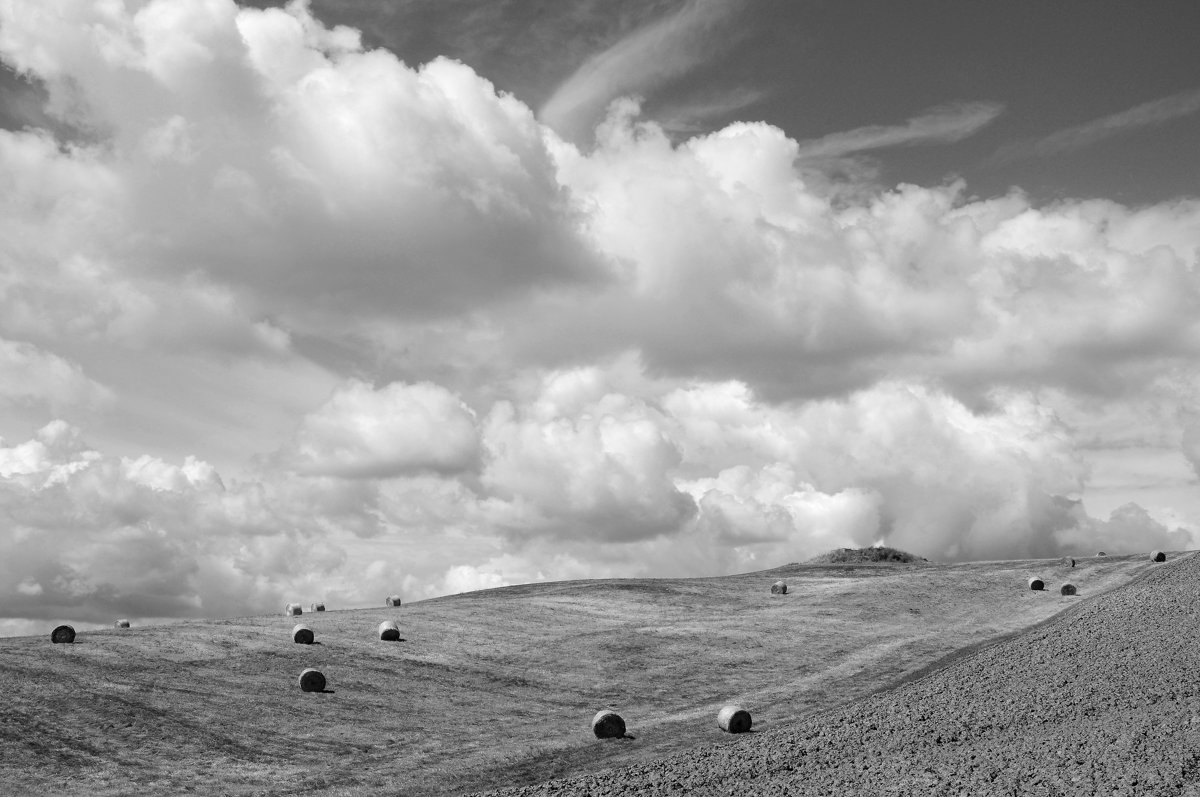 Countryside of Siena July 2014