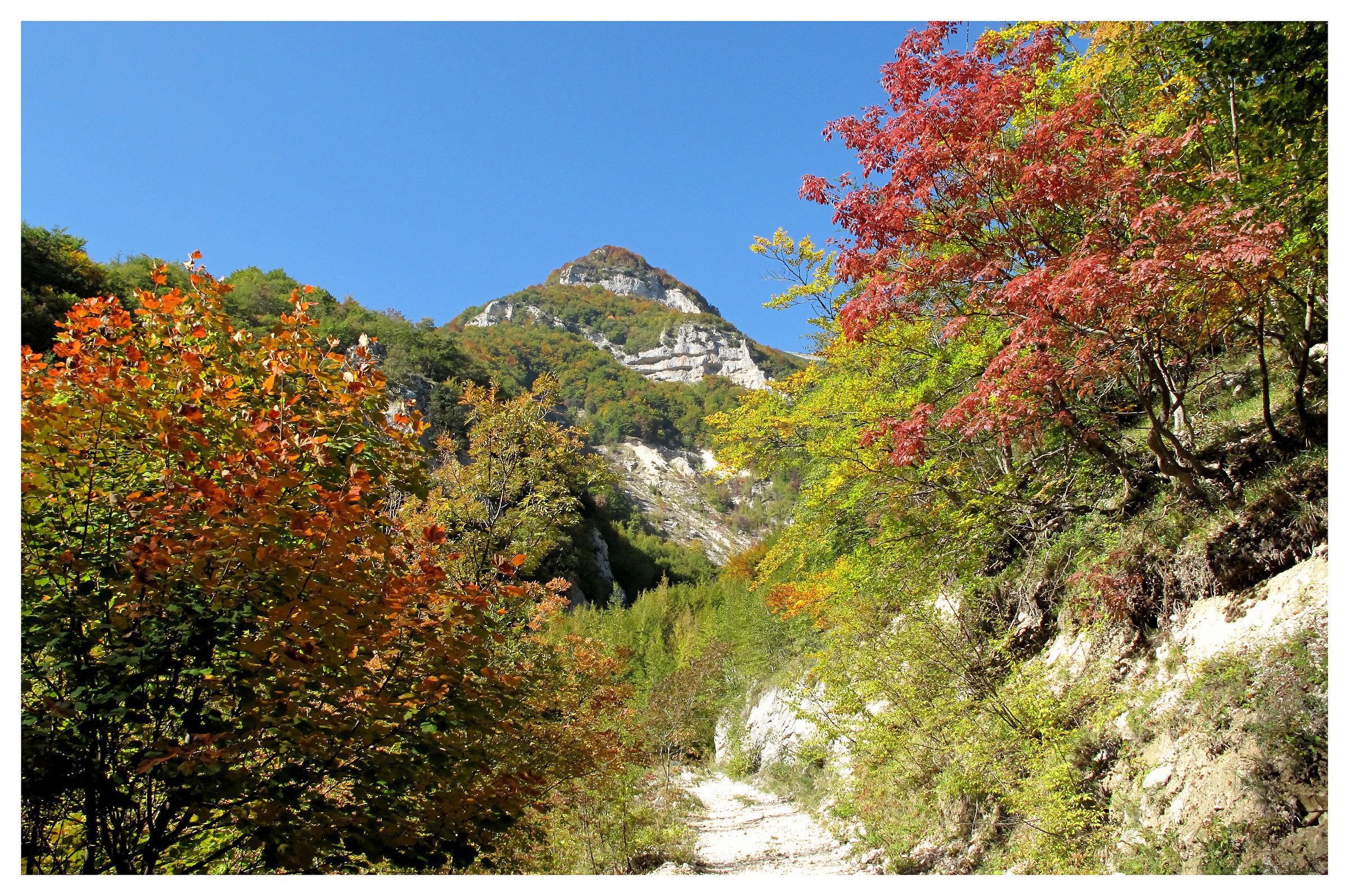 Colori nel Parco nazionale della Majella