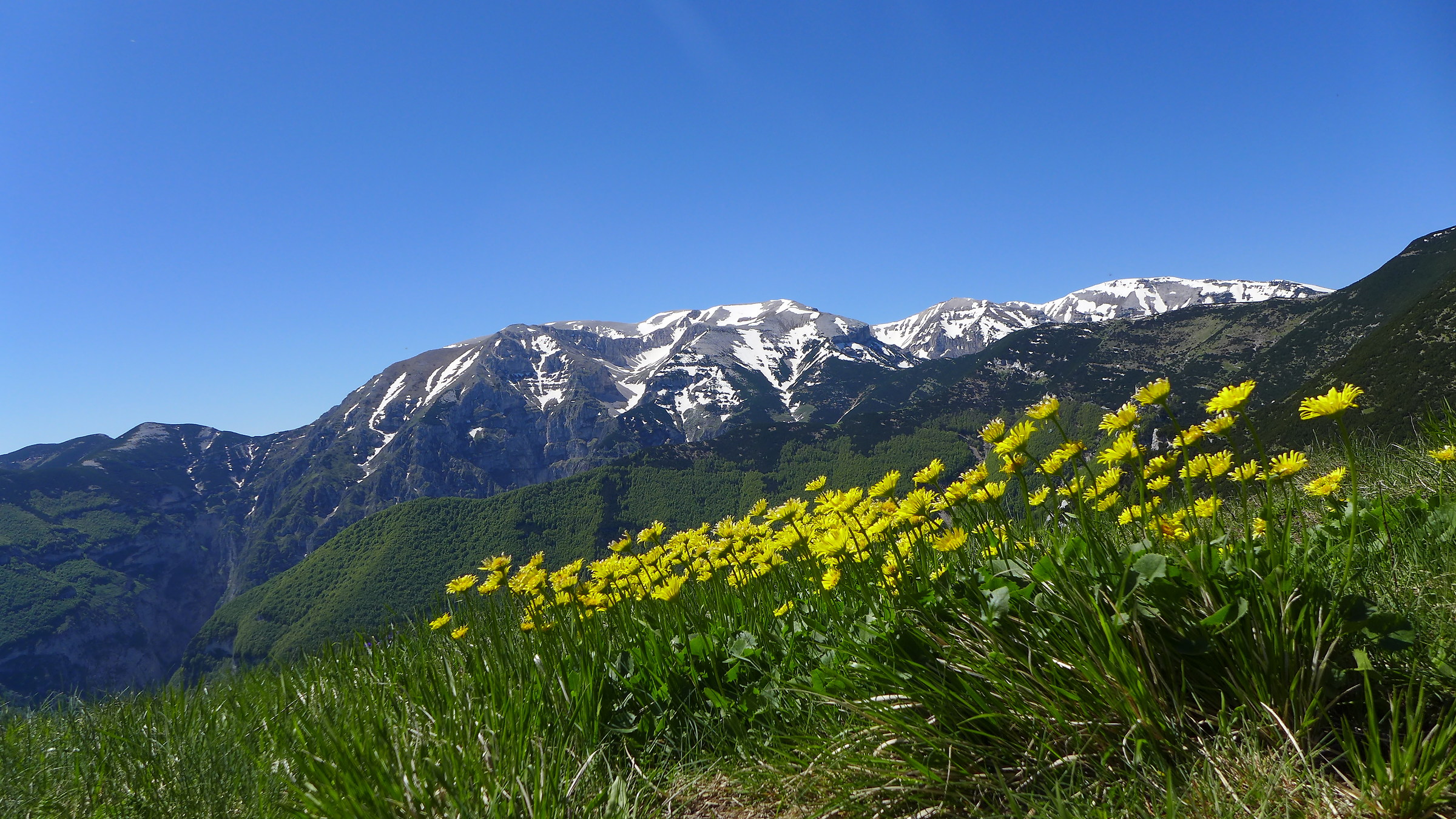 Fioritura nel Parco nazionale della majella