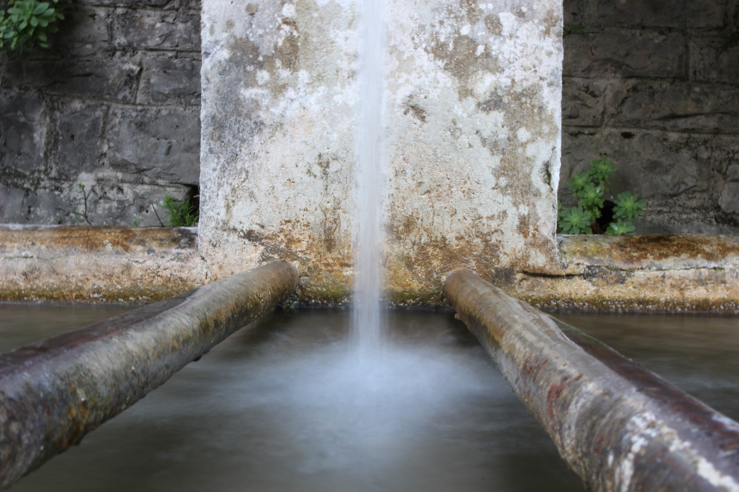 Fontana al tempio buddhista