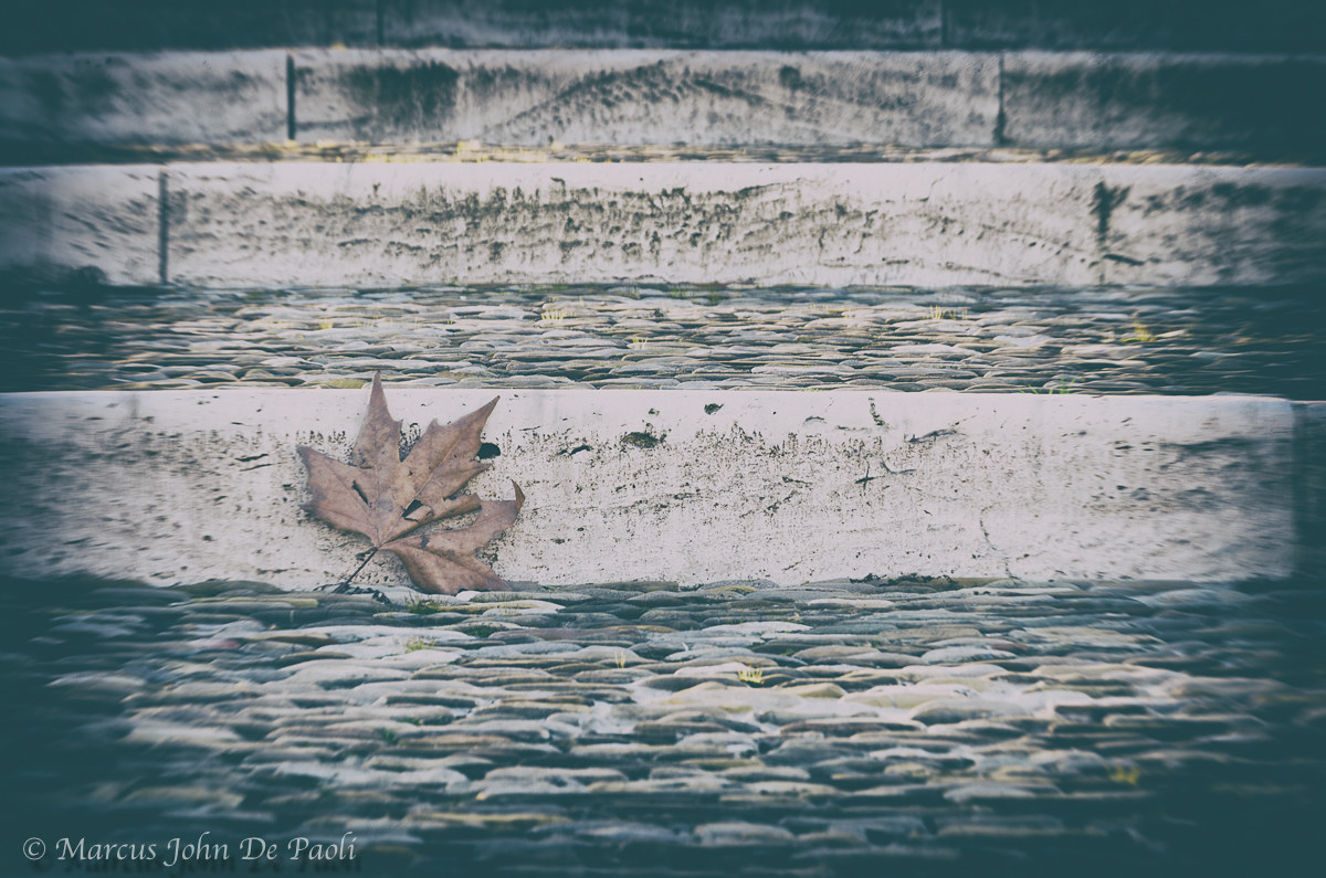 American Cemetery and Memorial