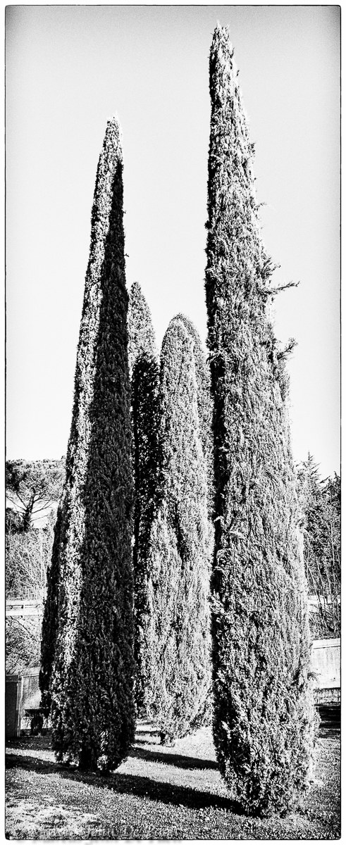 American Cemetery and Memorial
