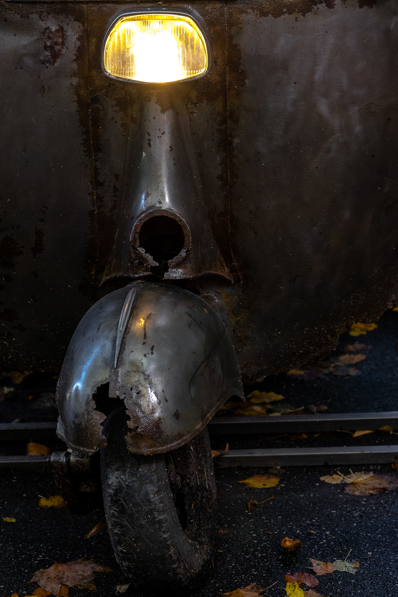 a light on autumn....................