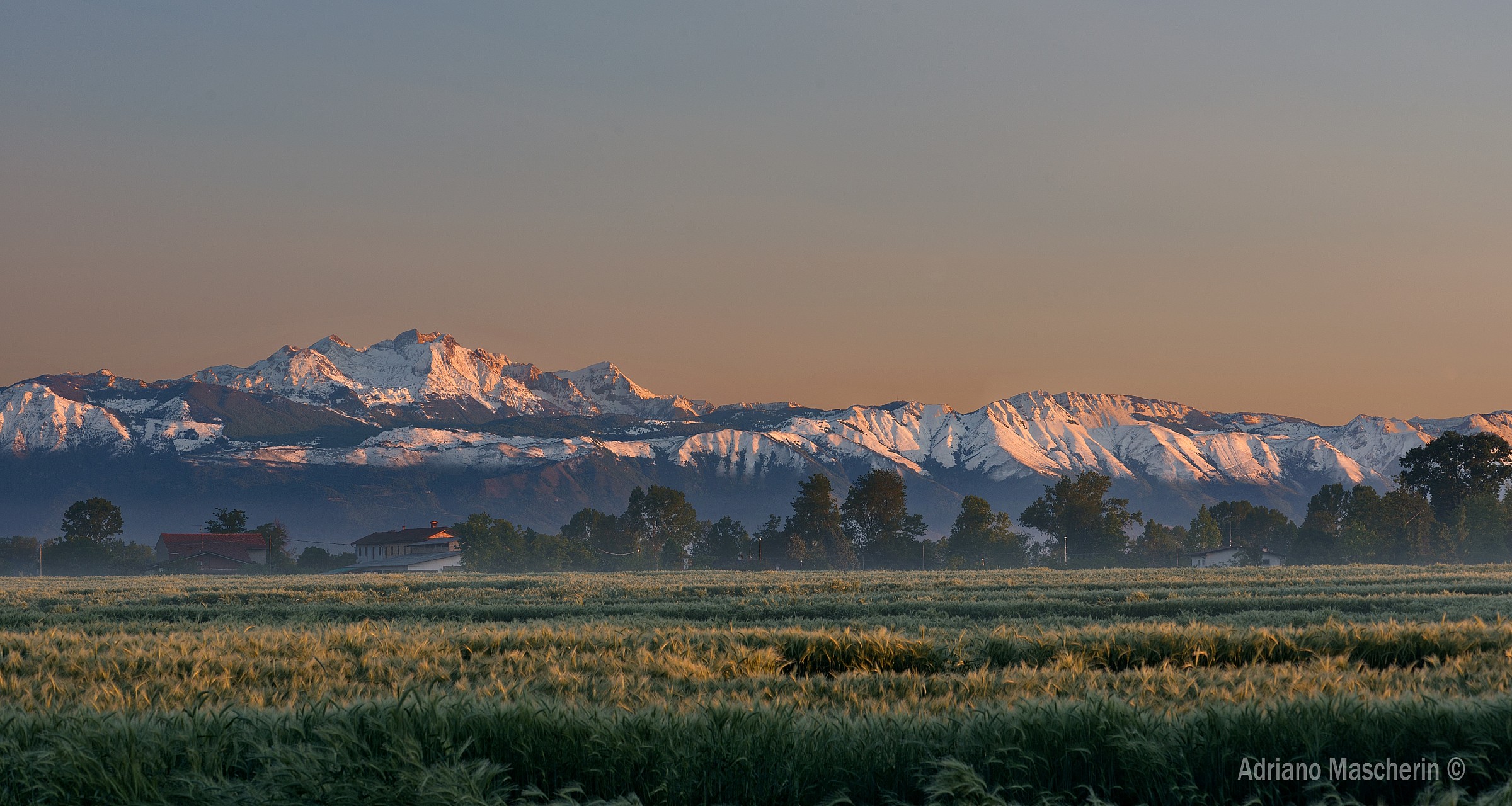 Pennellate bianche sulla primavera...
