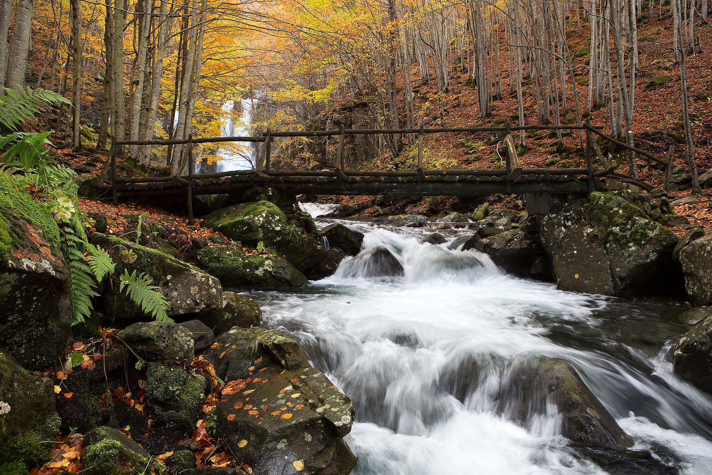 Un ponte sul Dardagna