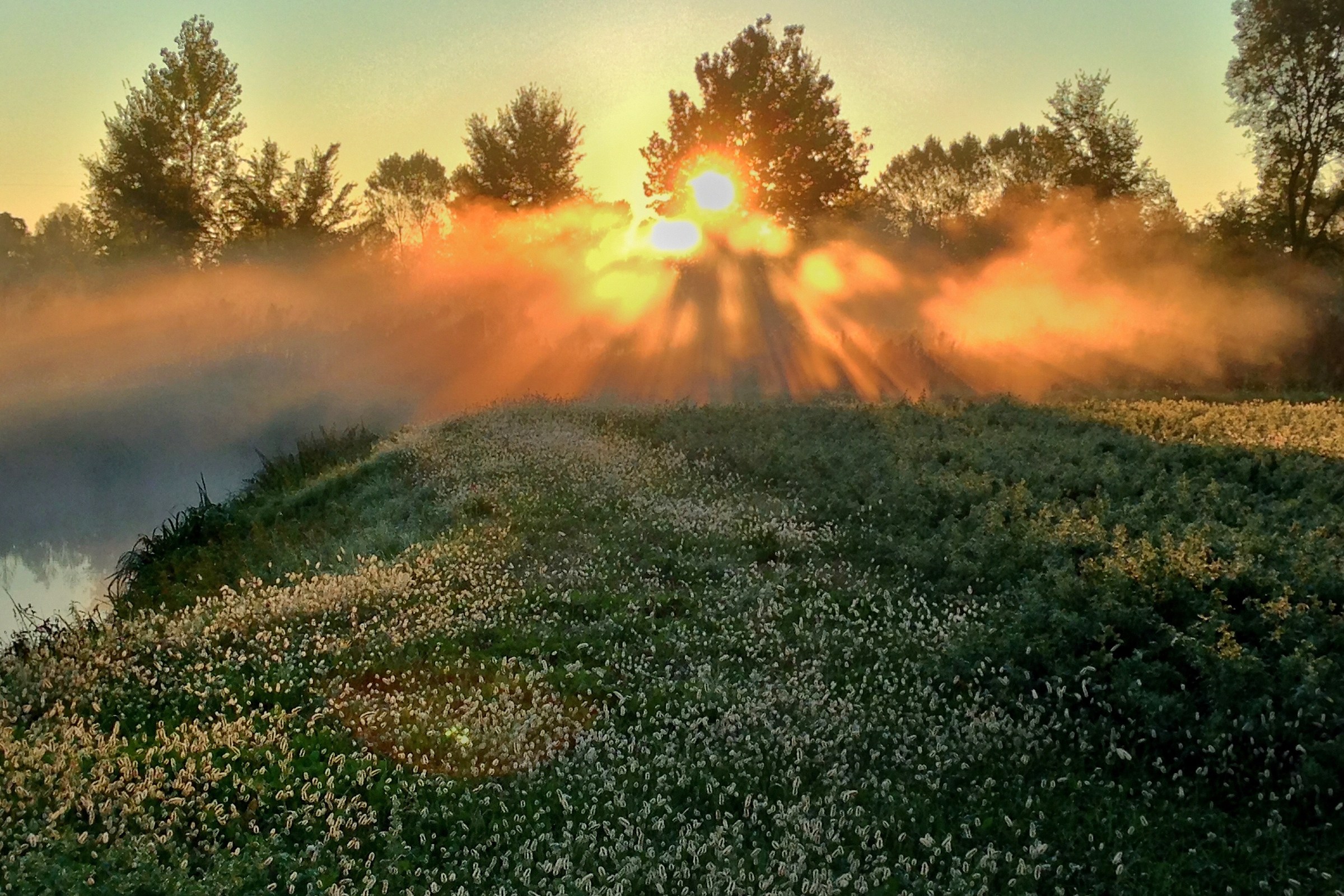 Alba in the countryside 2