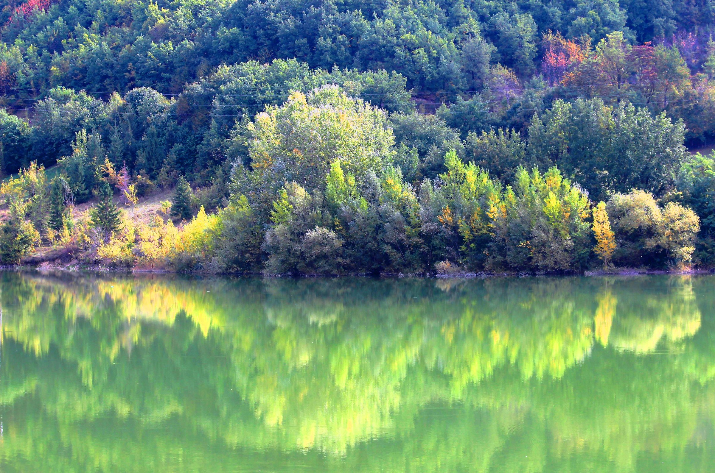 Colors and reflections ...