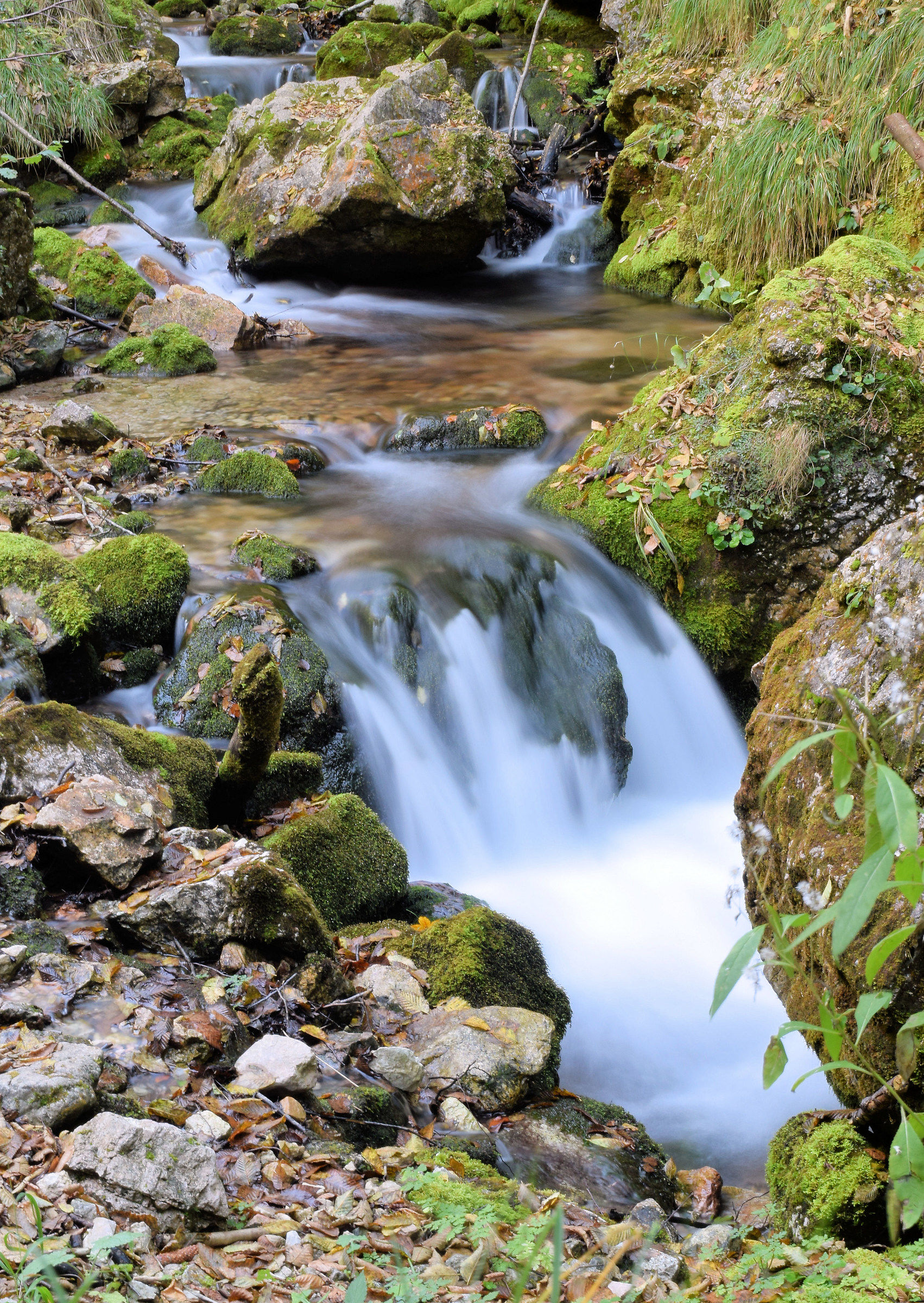 Waterfall in Val Fraselle