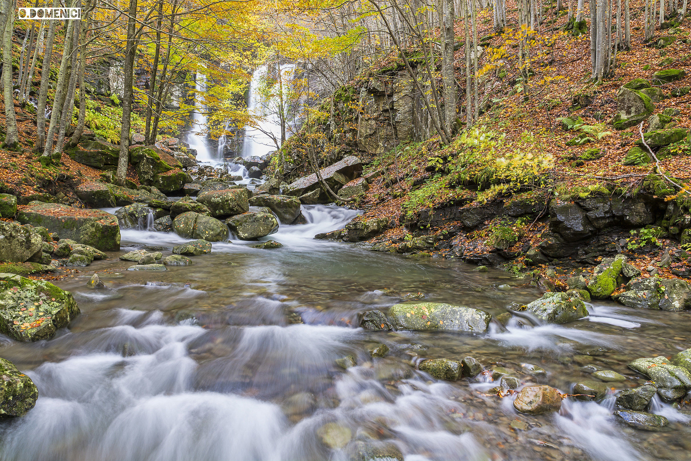 Foliage 2015 - Corno alle Scale.
