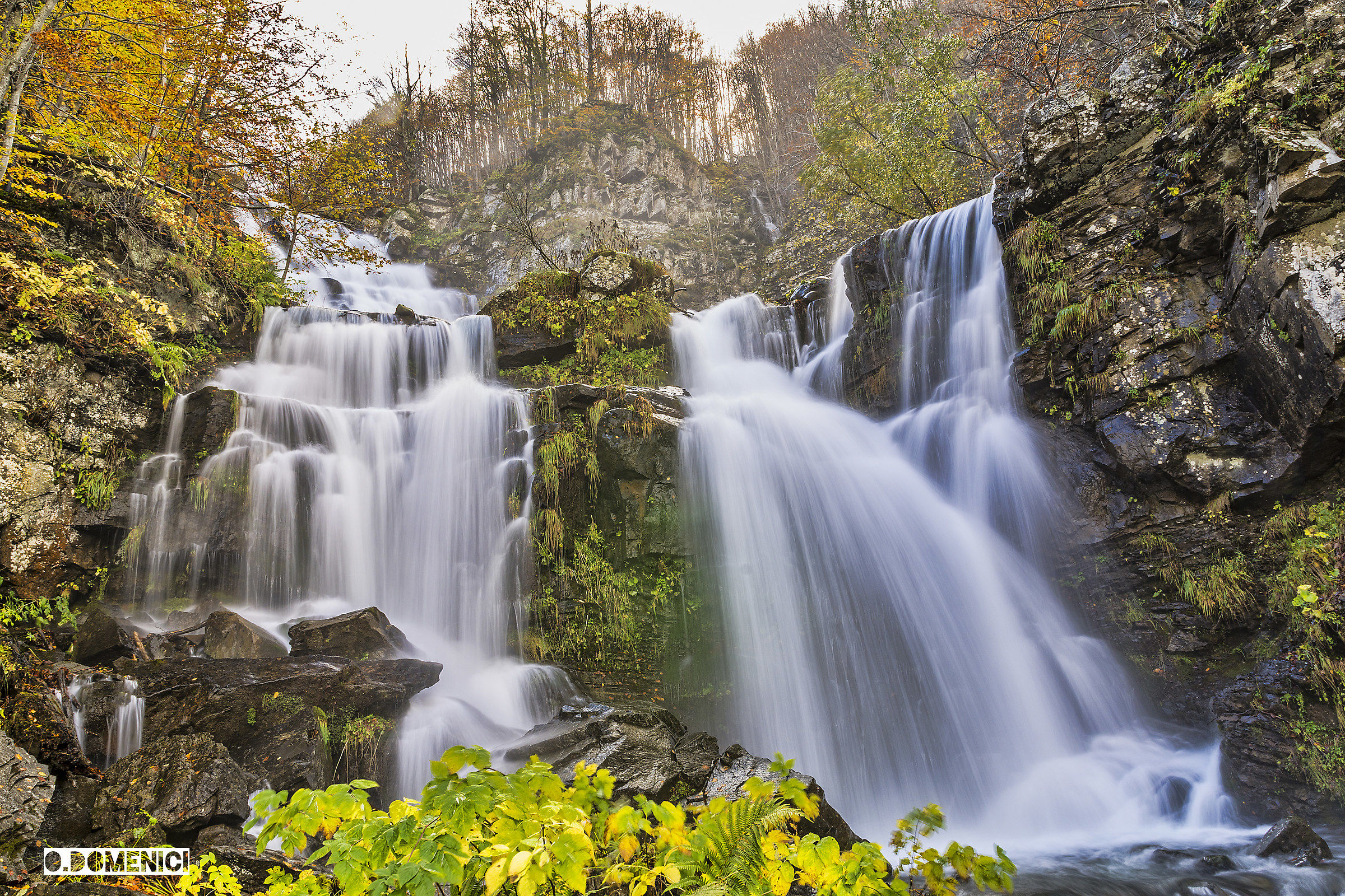 Foliage 2015 - Corno alle Scale.