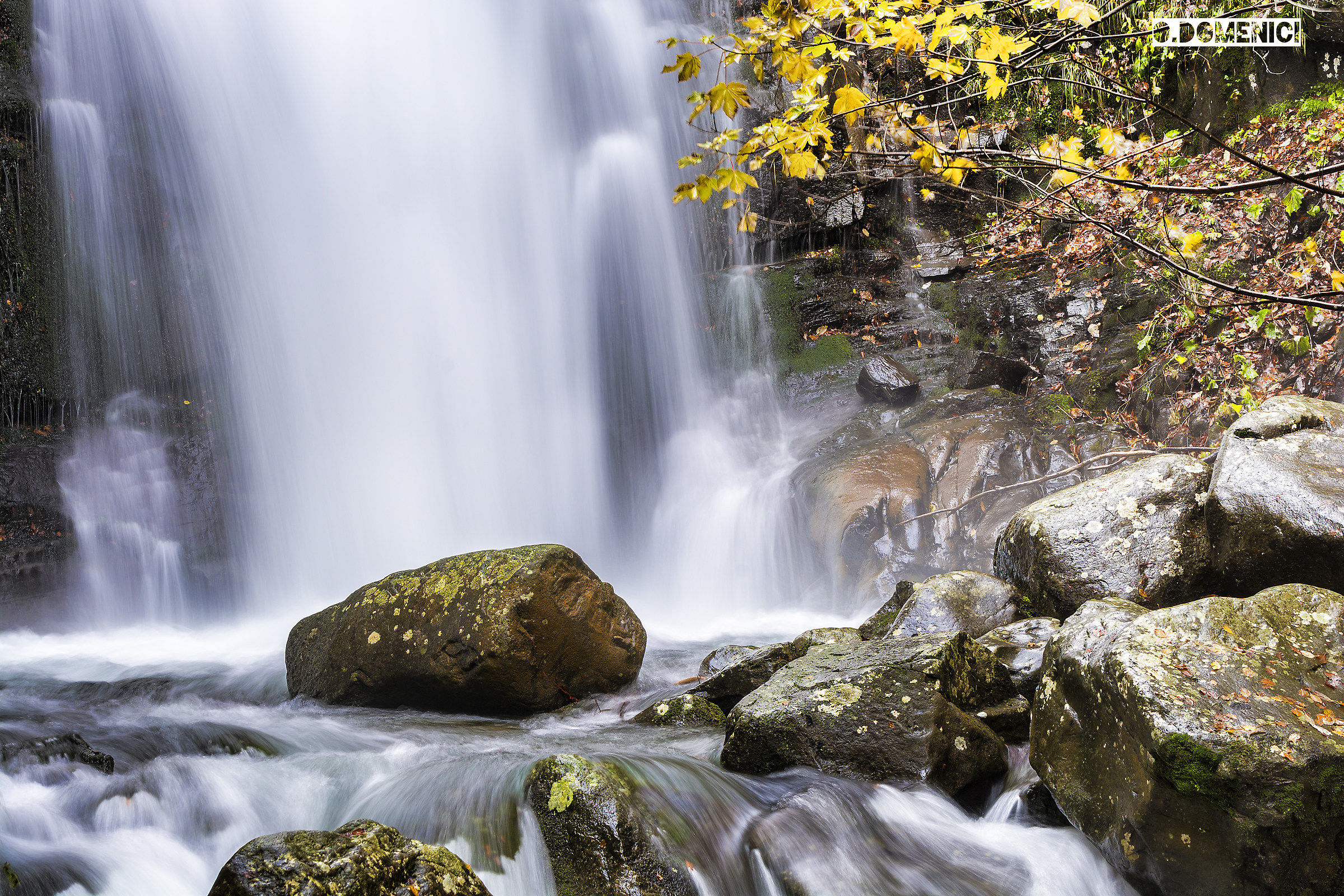 Foliage 2015 - Corno alle Scale.