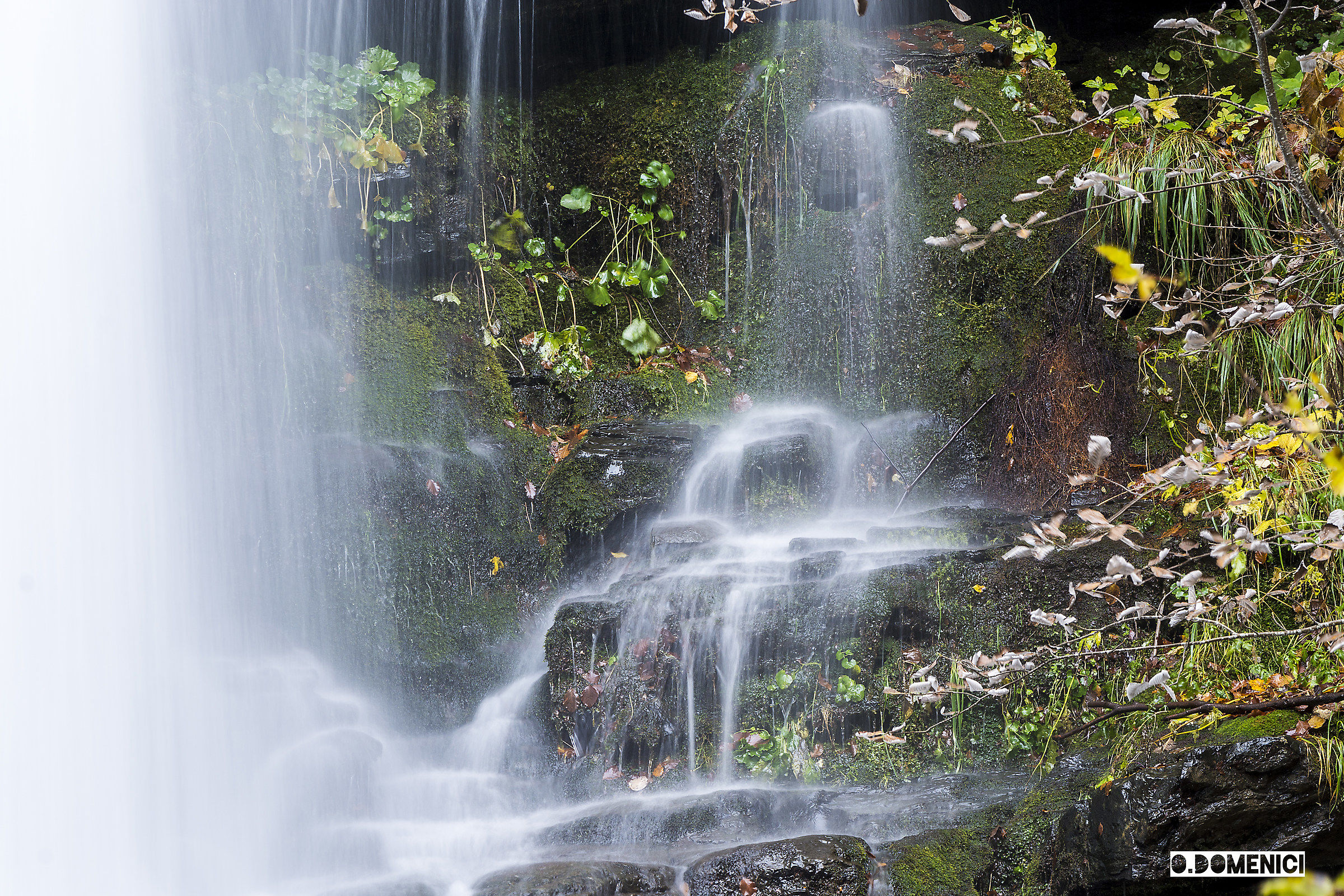 Foliage 2015 - Corno alle Scale.