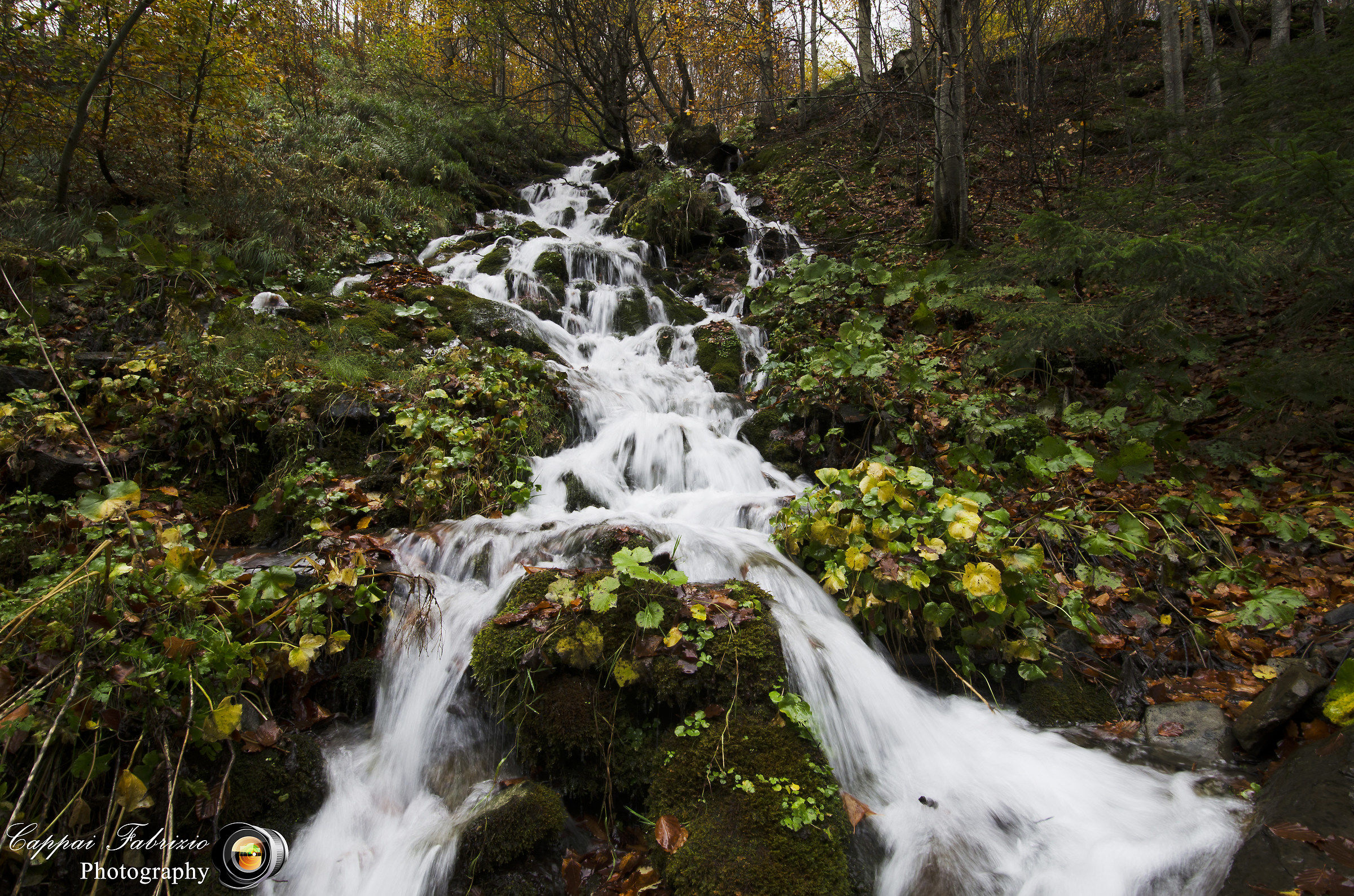 Continuando a salire per il sentiero