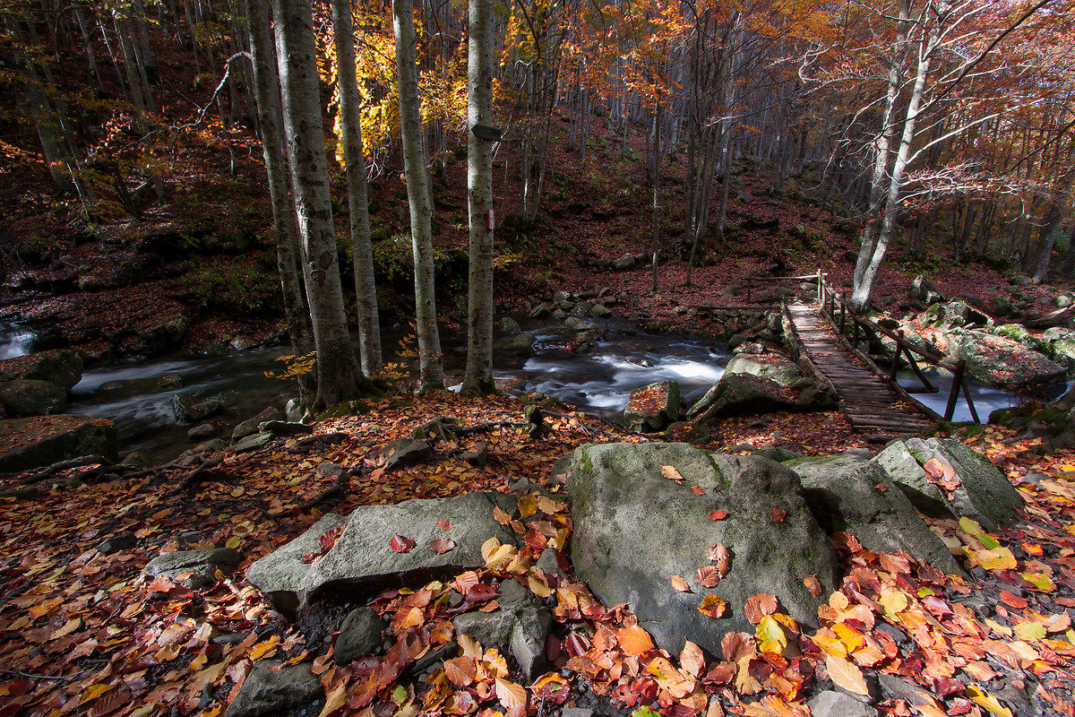 Nel cuore del parco ...