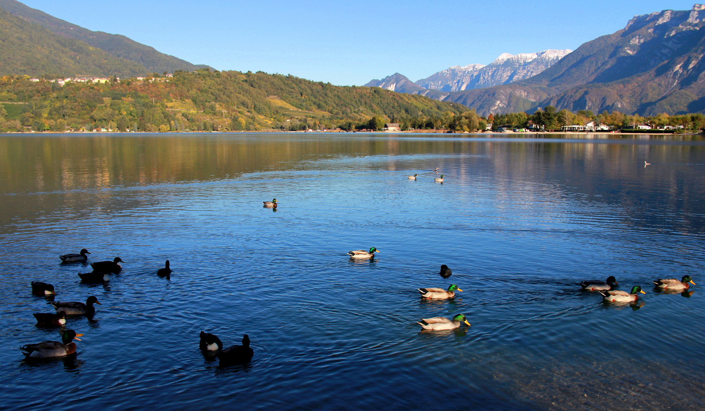 The light of an autumn afternoon