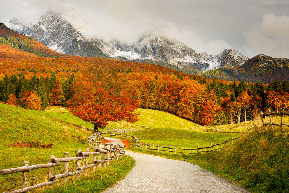 Scent of autumn in Alpago