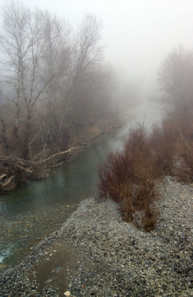 Nebbia alle Trasubbie