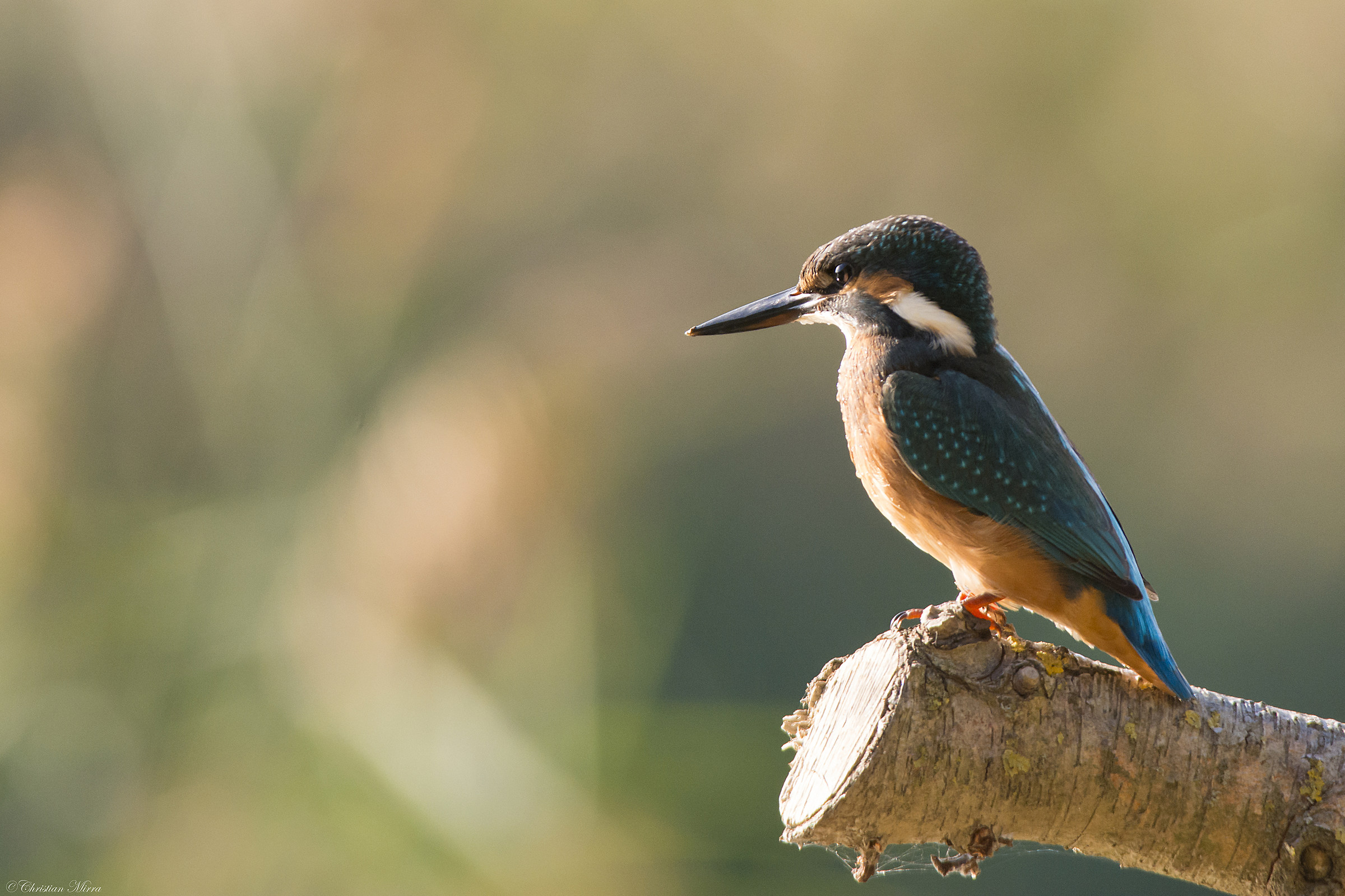 Very concentrated ...