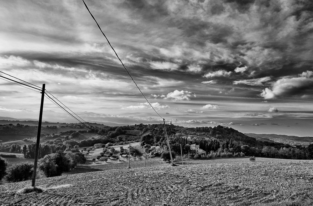 Campaign from Novilara Pesaro