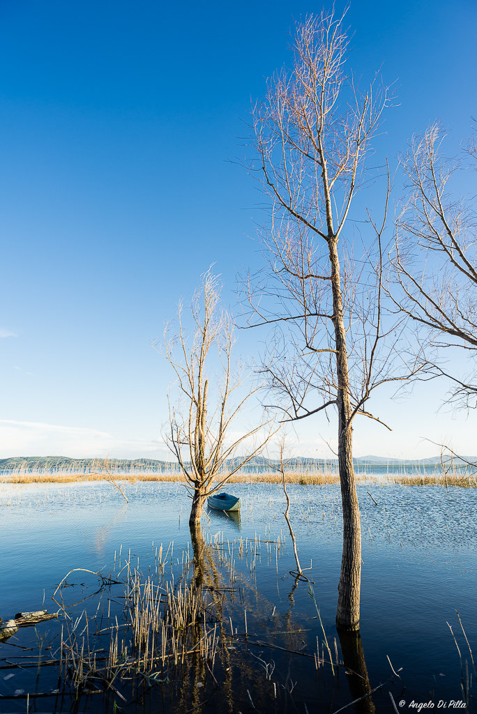 Il Lago.....