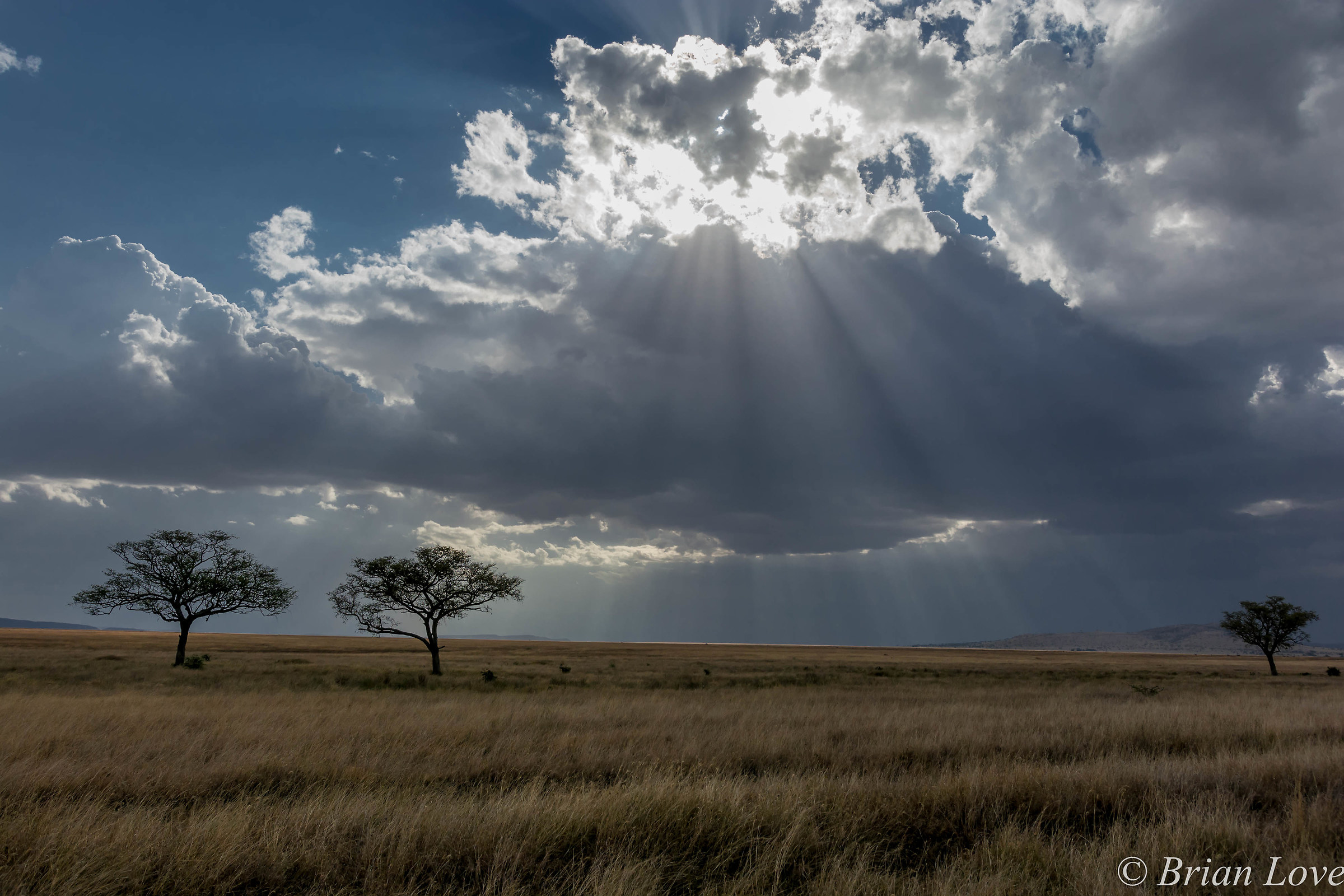 Serengeti will never die!