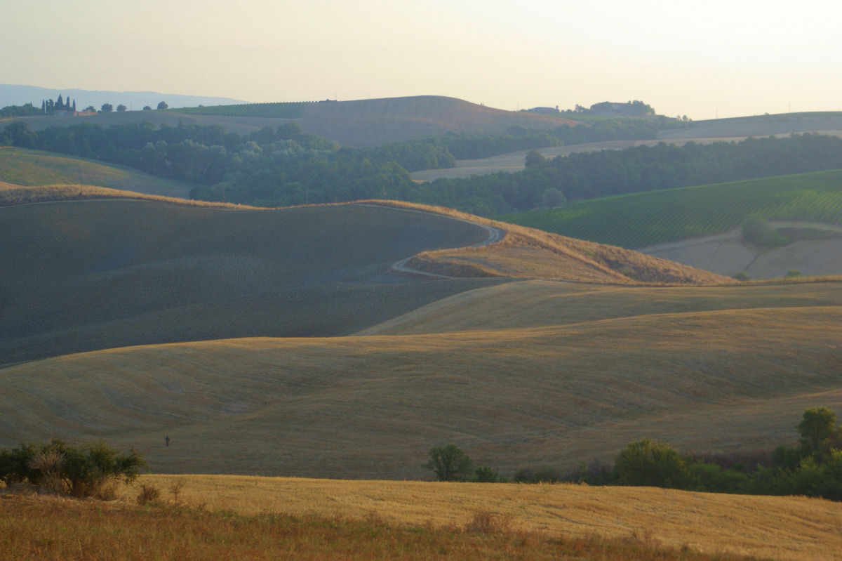 L'alba nei dintorni  di Cinigiano,Grosseto