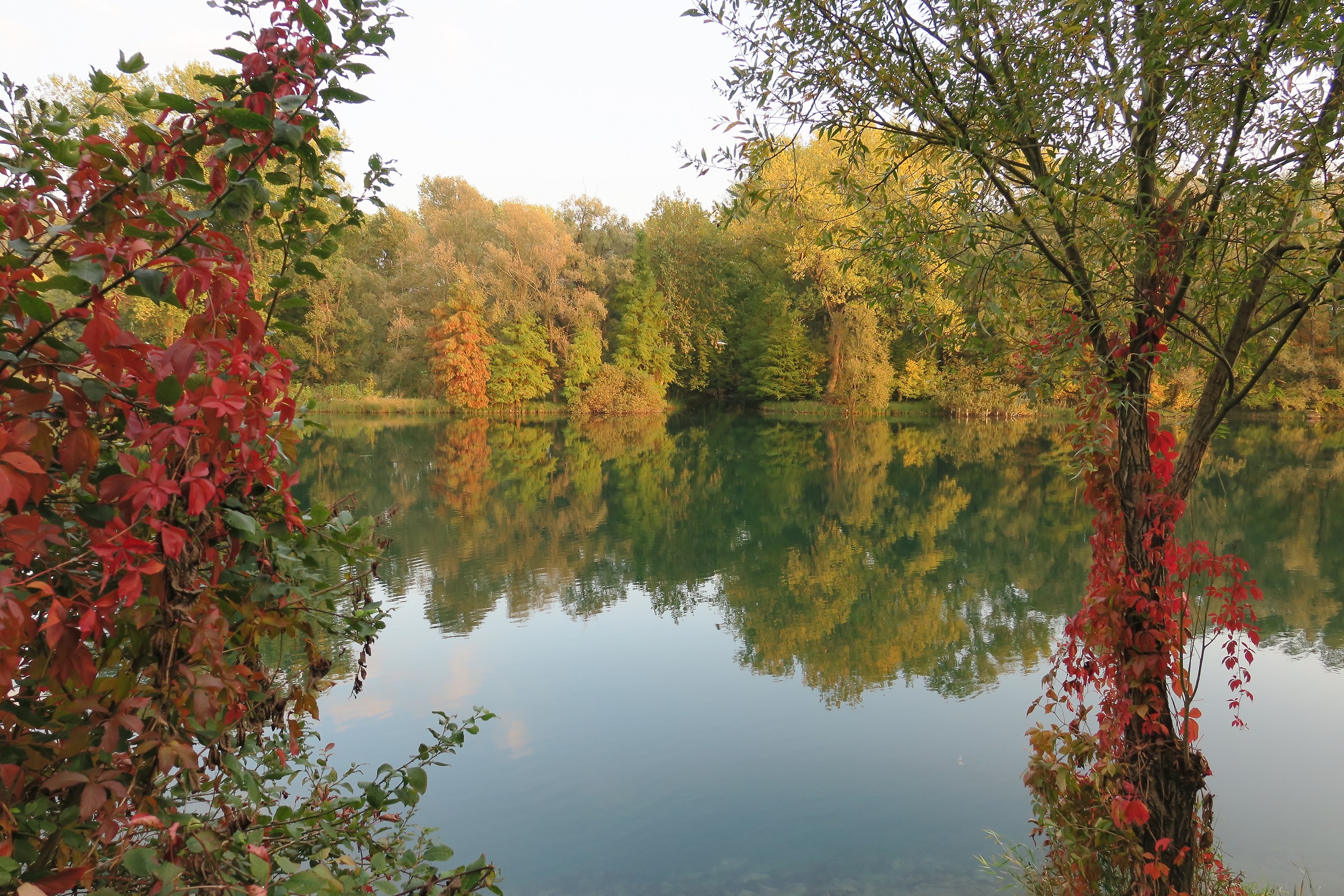 Adda, caldi colori d'autunno