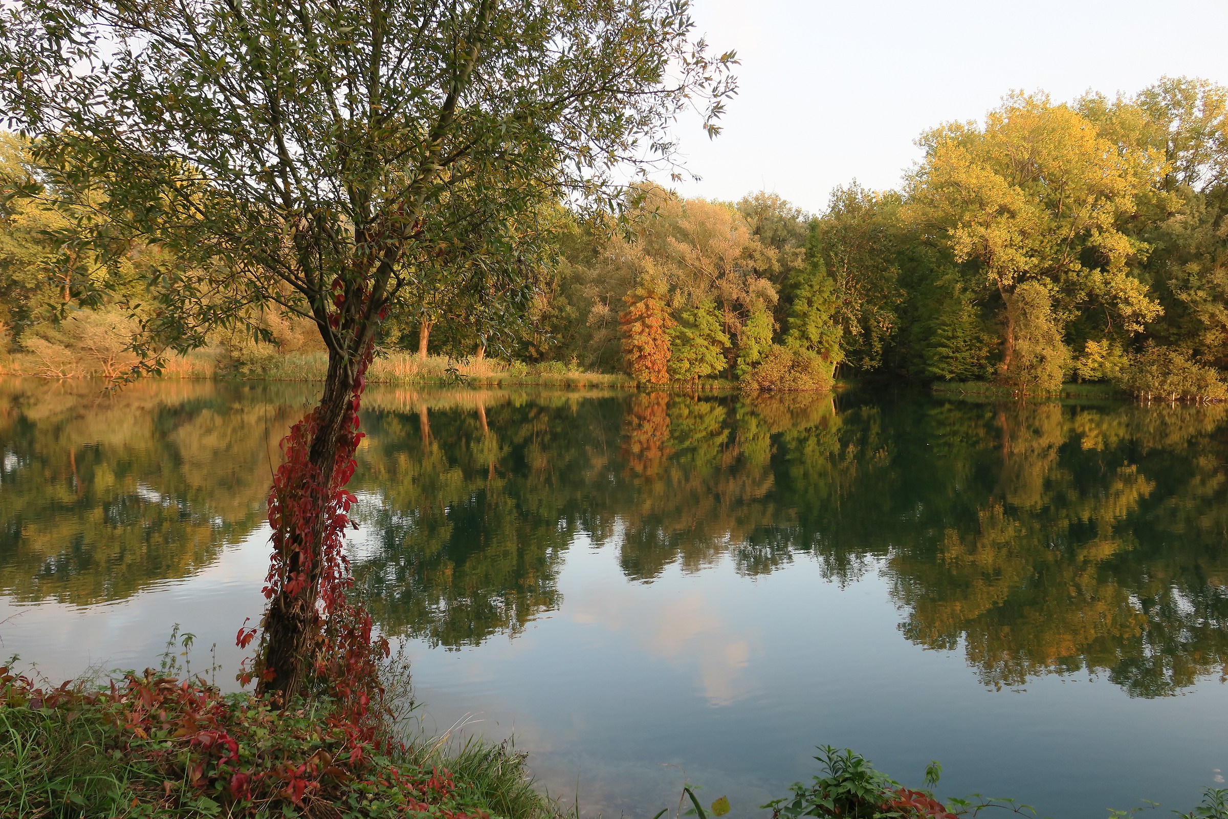 Adda, caldi colori autunnali