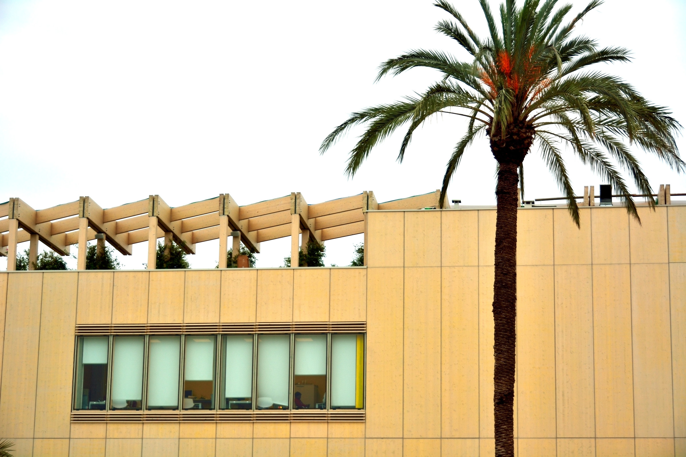 malibu'  ????  no, expo milano