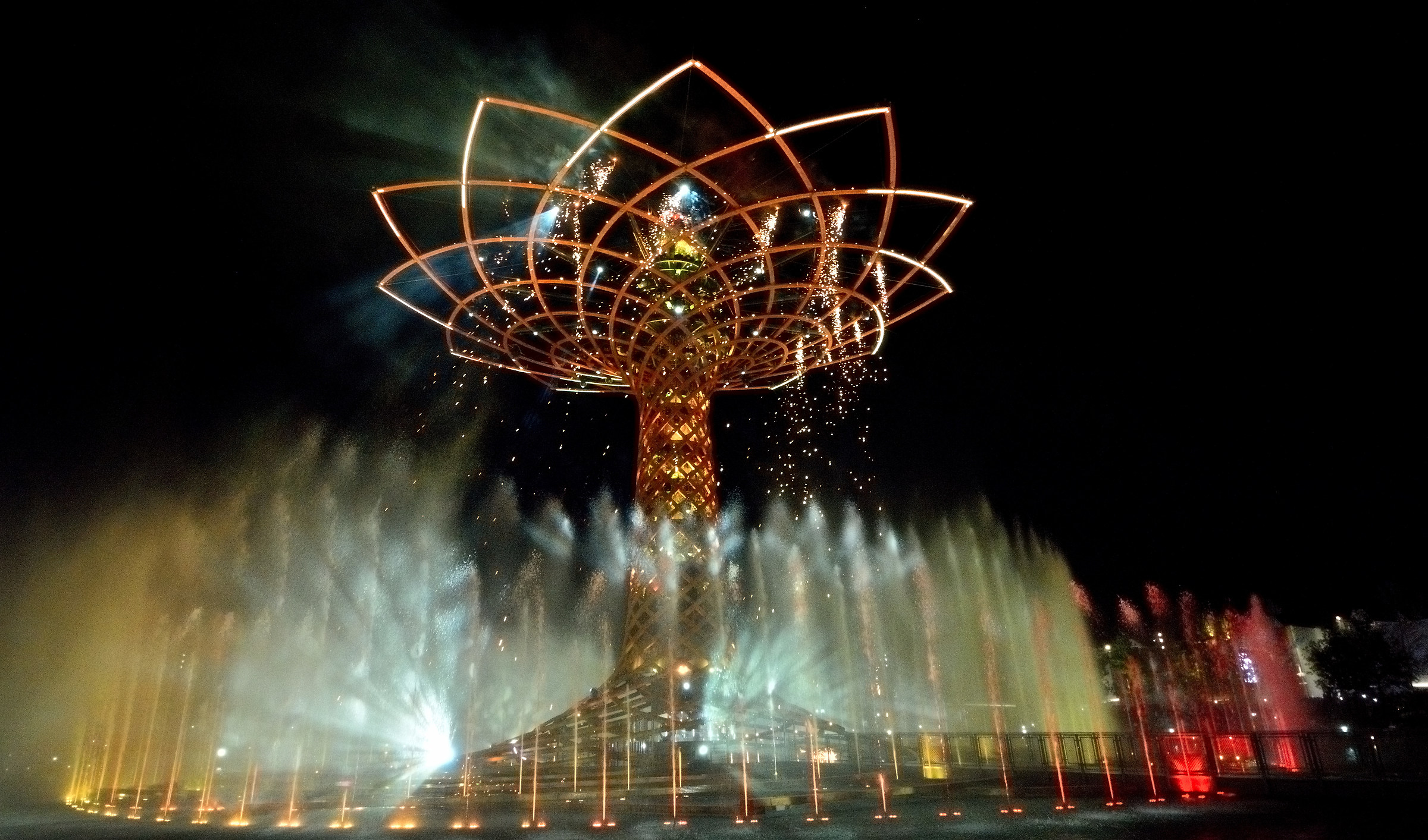 ed eccolo,il mitico albero della vita